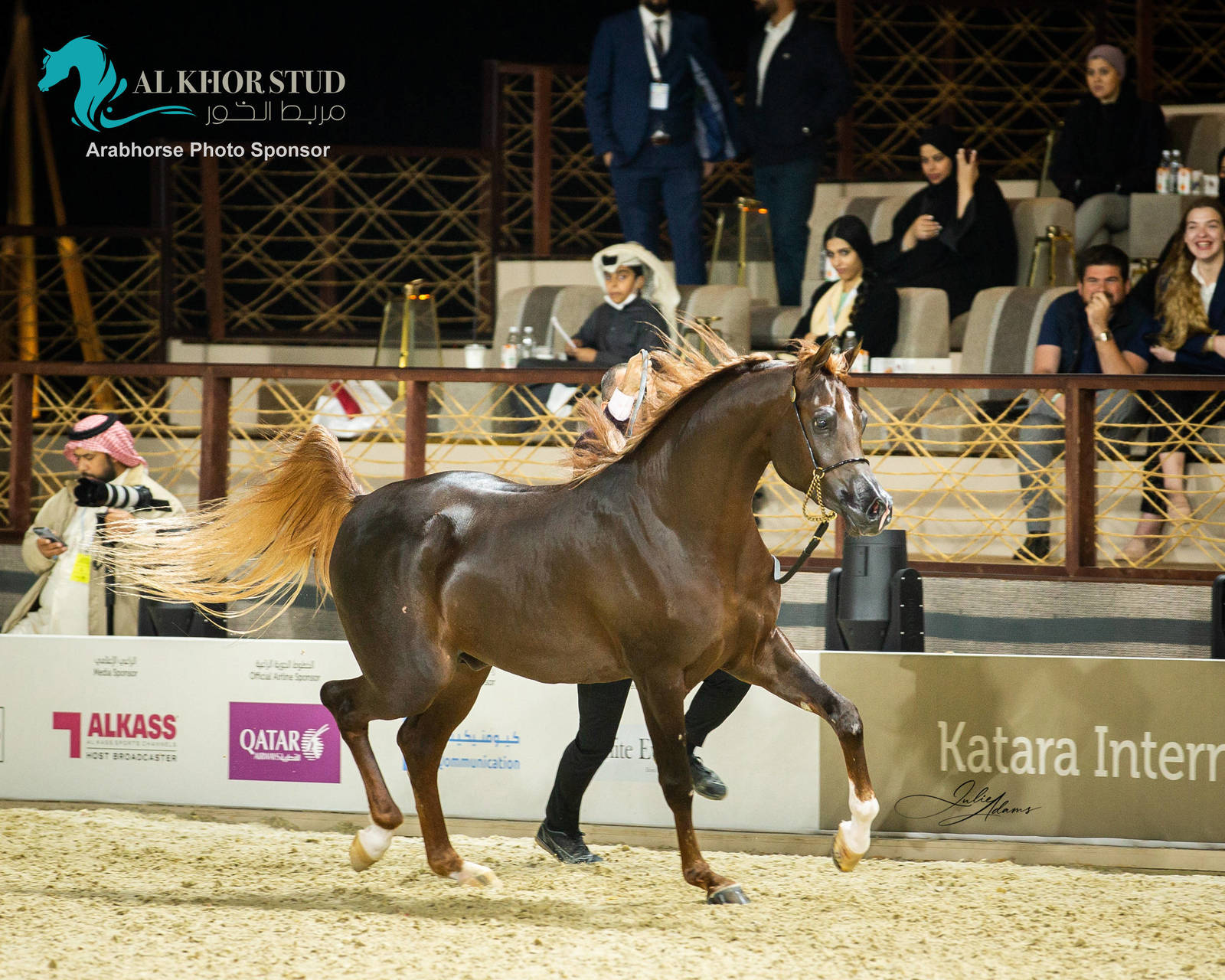 CHAMPIONSHIP DAY OF 2022 KATARA INTERNATIONAL ARABIAN HORSE FESTIVAL TITLE SHOW