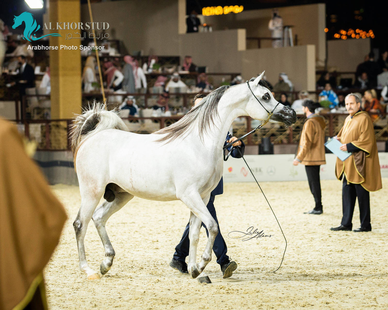 CHAMPIONSHIP DAY OF 2022 KATARA INTERNATIONAL ARABIAN HORSE FESTIVAL TITLE SHOW
