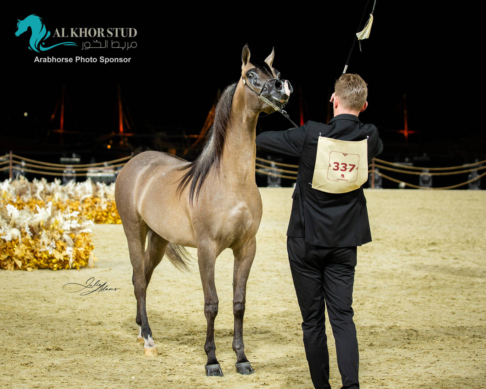 CHAMPIONSHIP DAY OF 2022 KATARA INTERNATIONAL ARABIAN HORSE FESTIVAL TITLE SHOW