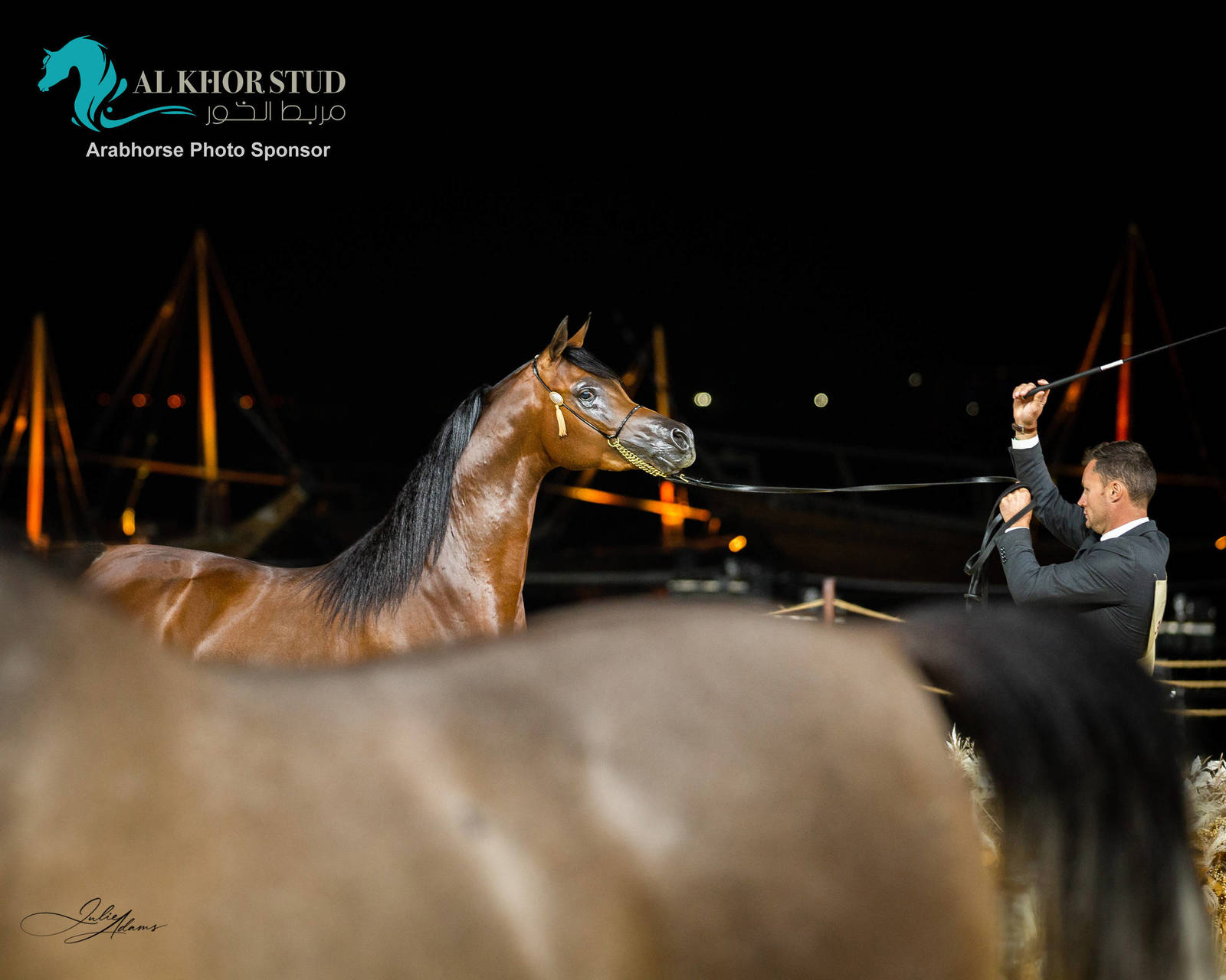 CHAMPIONSHIP DAY OF 2022 KATARA INTERNATIONAL ARABIAN HORSE FESTIVAL TITLE SHOW