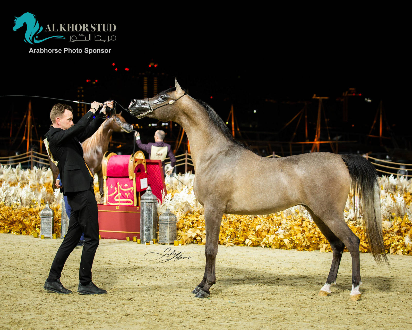 CHAMPIONSHIP DAY OF 2022 KATARA INTERNATIONAL ARABIAN HORSE FESTIVAL TITLE SHOW