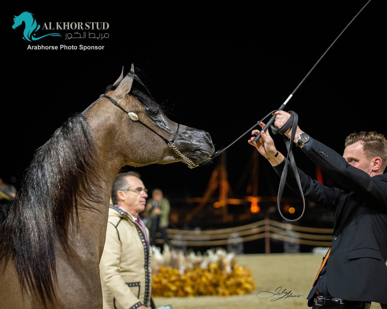 CHAMPIONSHIP DAY OF 2022 KATARA INTERNATIONAL ARABIAN HORSE FESTIVAL TITLE SHOW