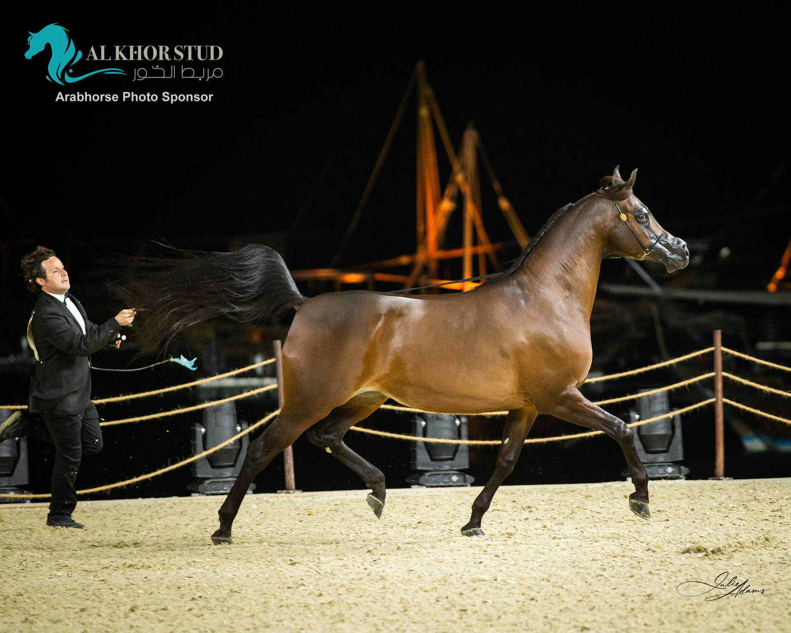 CHAMPIONSHIP DAY OF 2022 KATARA INTERNATIONAL ARABIAN HORSE FESTIVAL TITLE SHOW