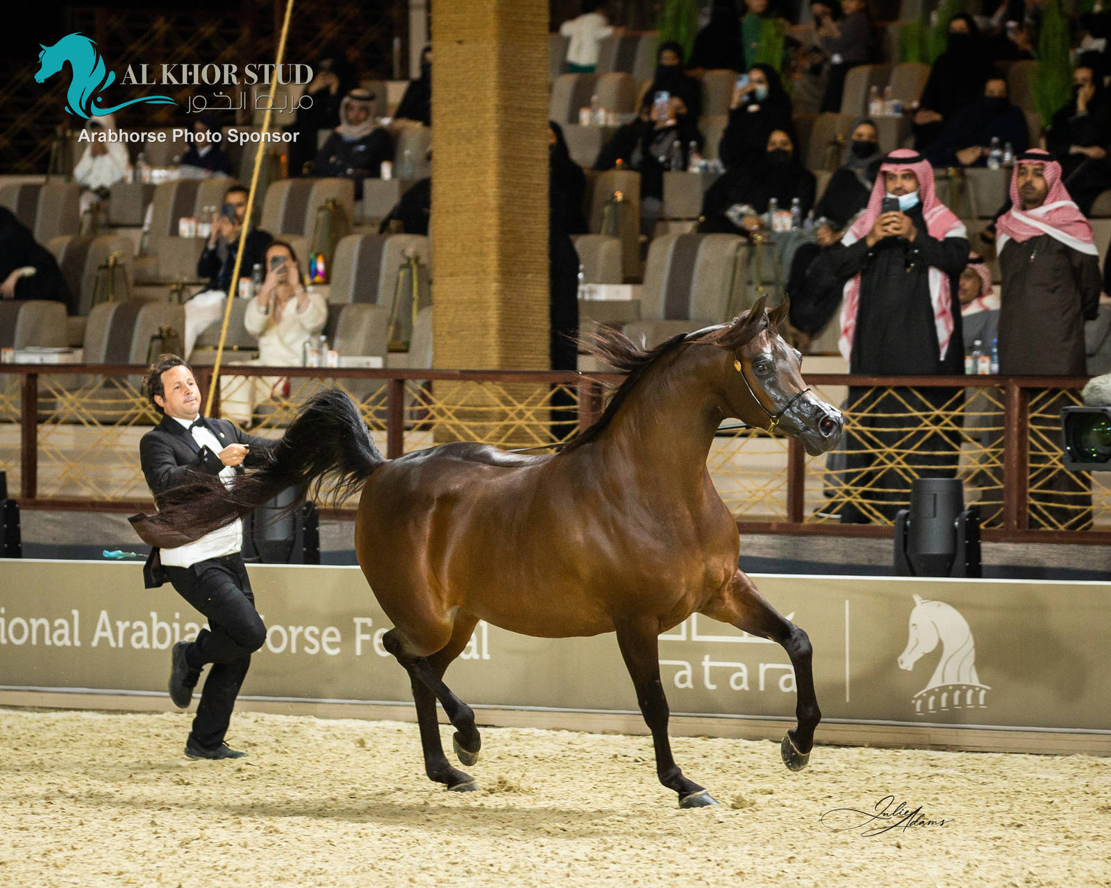 CHAMPIONSHIP DAY OF 2022 KATARA INTERNATIONAL ARABIAN HORSE FESTIVAL TITLE SHOW