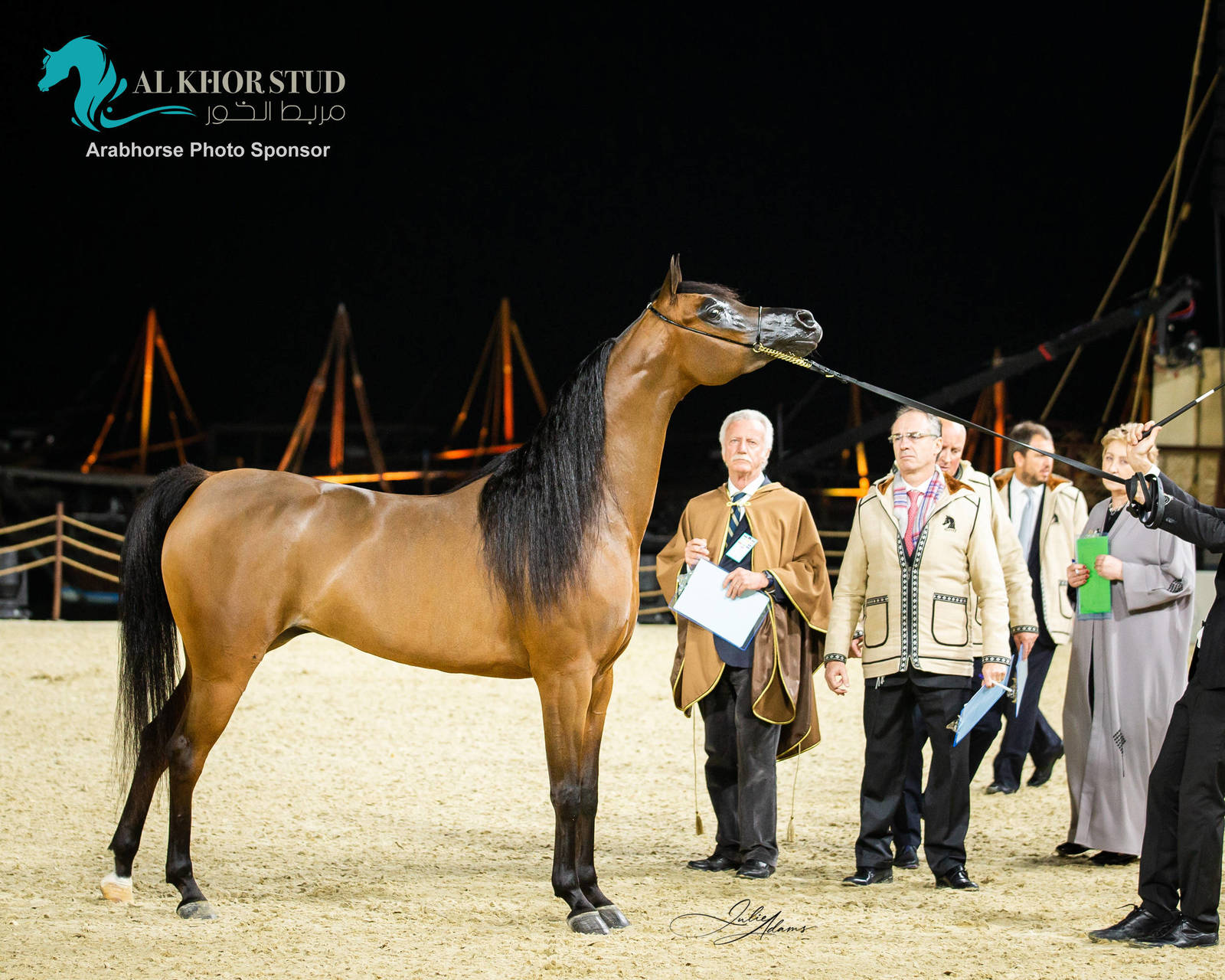 CHAMPIONSHIP DAY OF 2022 KATARA INTERNATIONAL ARABIAN HORSE FESTIVAL TITLE SHOW