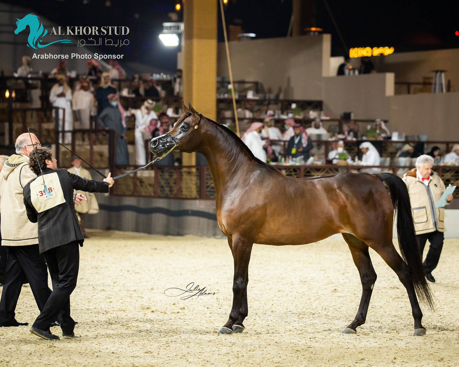 CHAMPIONSHIP DAY OF 2022 KATARA INTERNATIONAL ARABIAN HORSE FESTIVAL TITLE SHOW