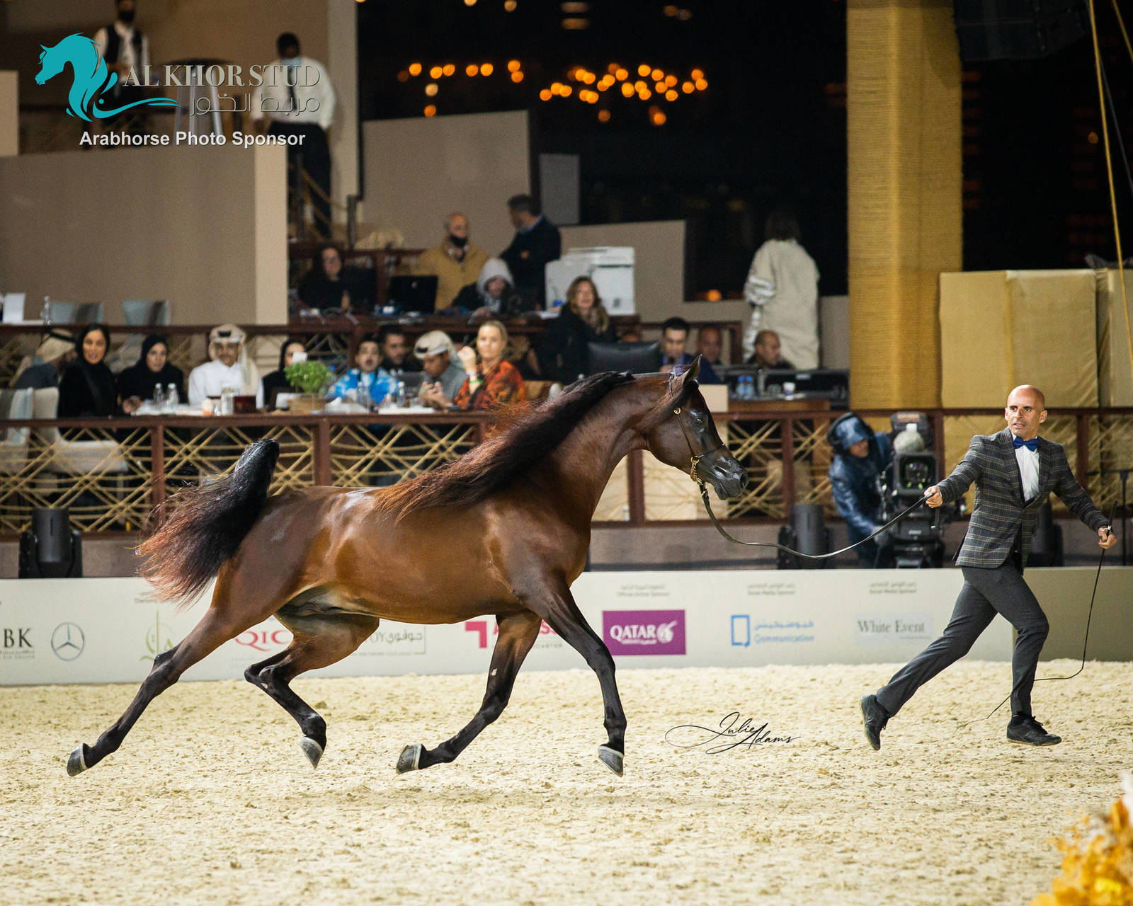 CHAMPIONSHIP DAY OF 2022 KATARA INTERNATIONAL ARABIAN HORSE FESTIVAL TITLE SHOW