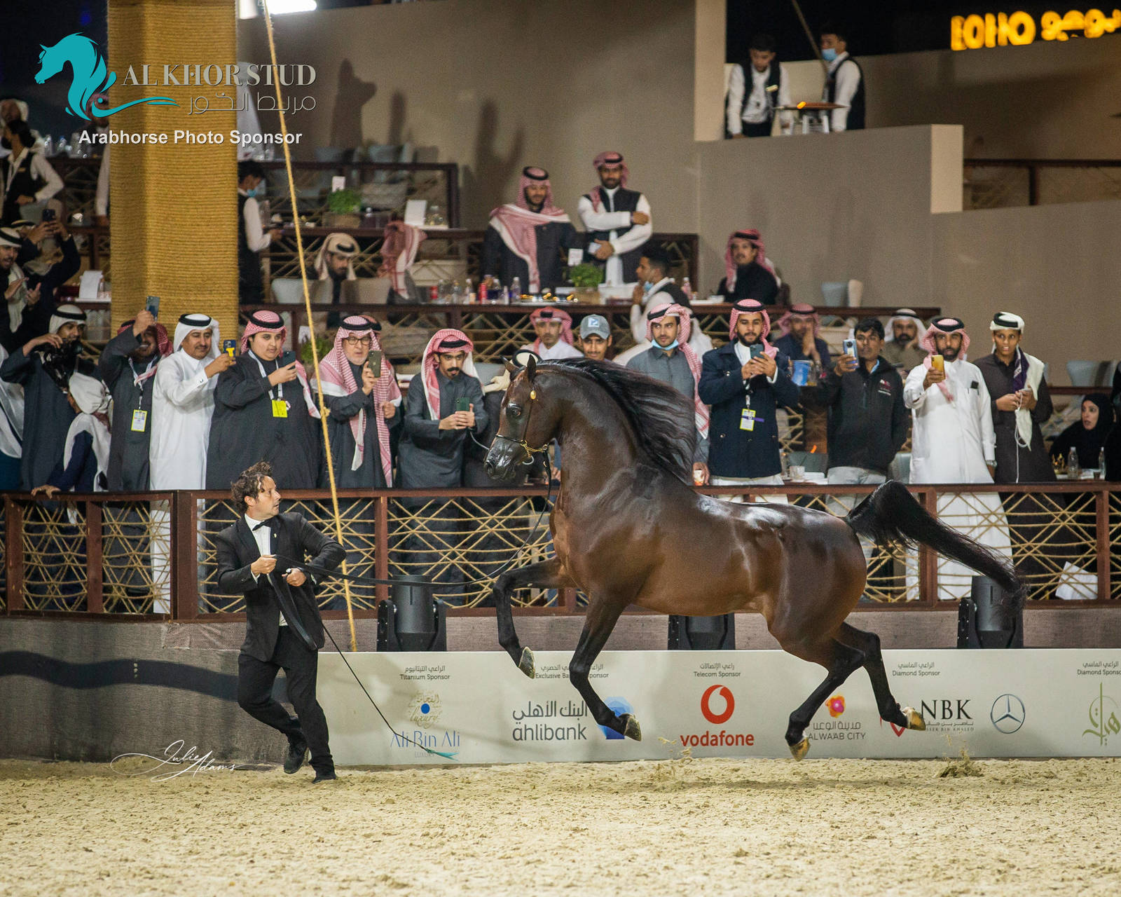 CHAMPIONSHIP DAY OF 2022 KATARA INTERNATIONAL ARABIAN HORSE FESTIVAL TITLE SHOW