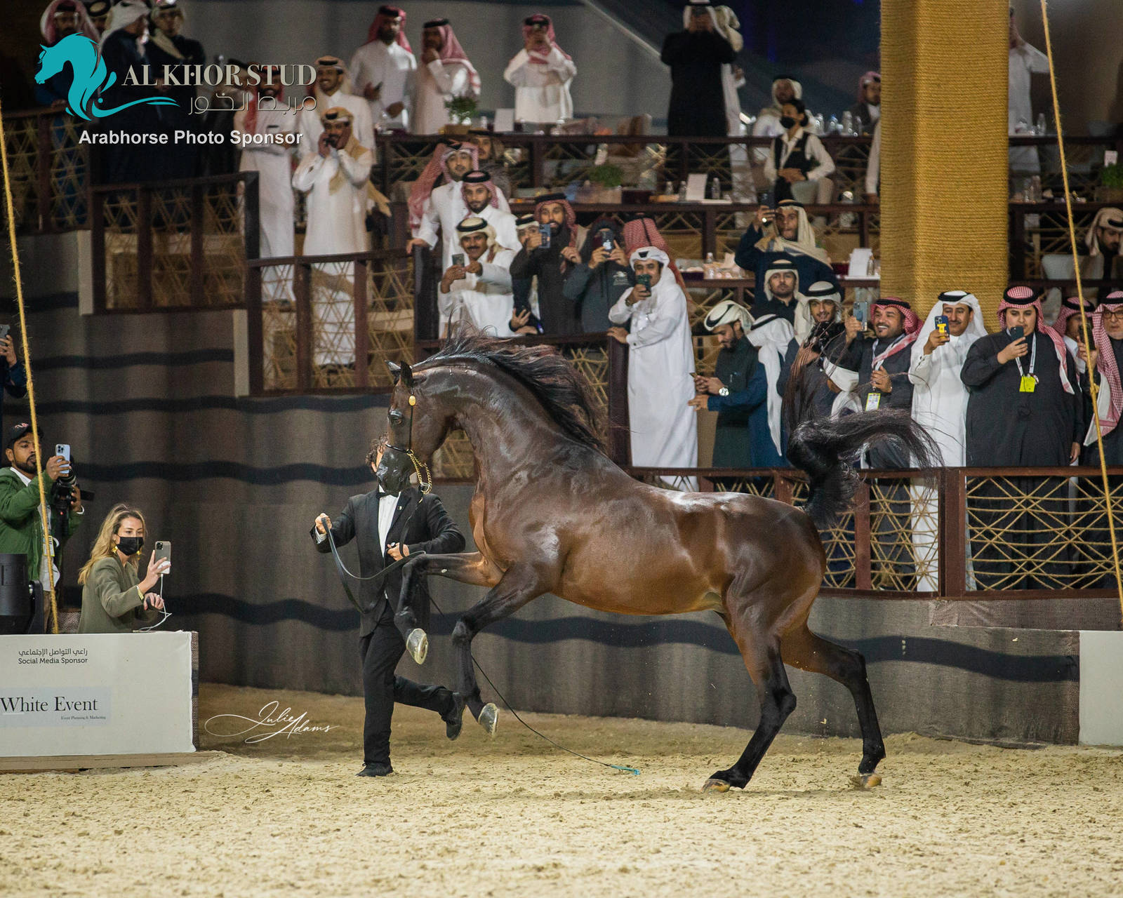CHAMPIONSHIP DAY OF 2022 KATARA INTERNATIONAL ARABIAN HORSE FESTIVAL TITLE SHOW