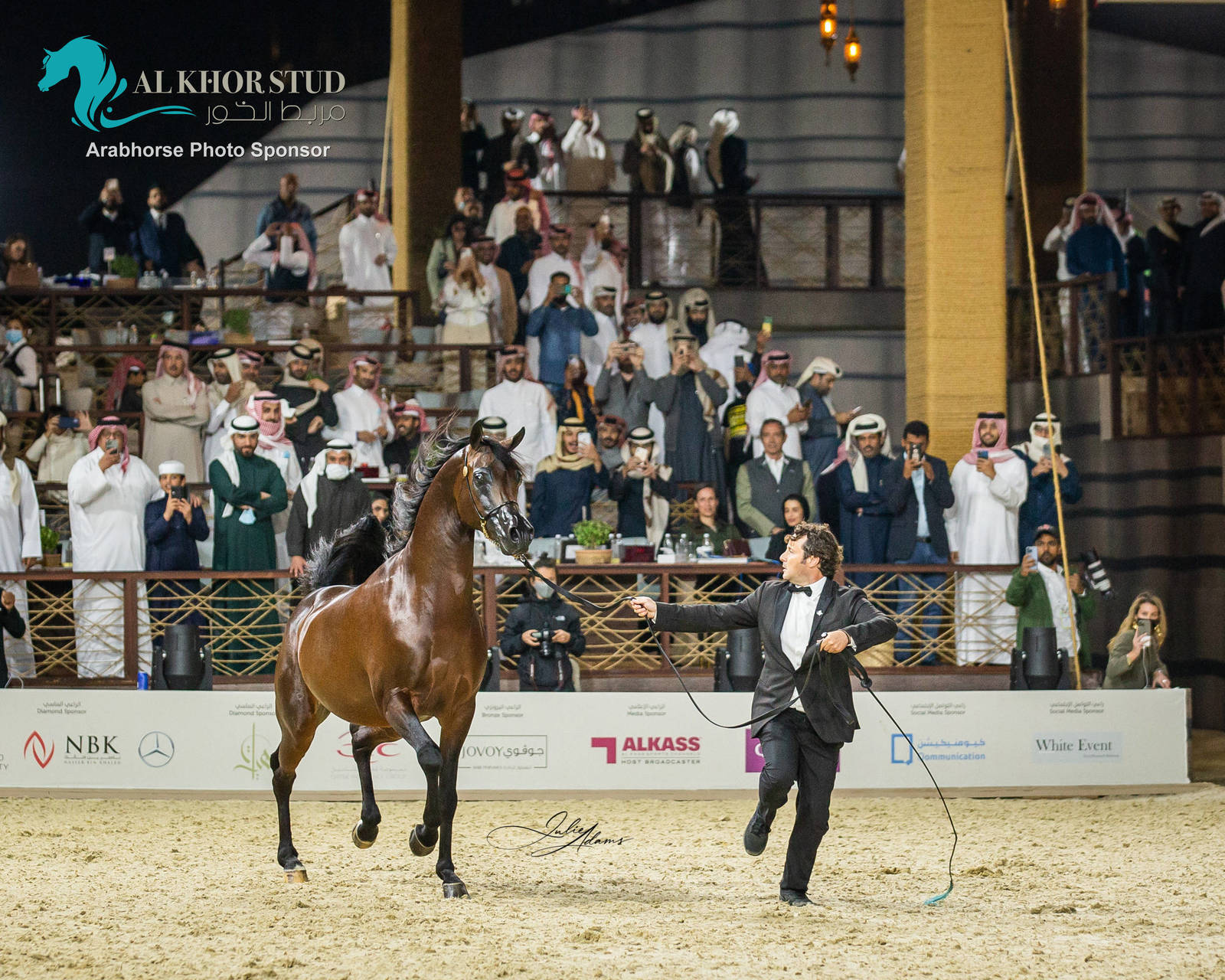 CHAMPIONSHIP DAY OF 2022 KATARA INTERNATIONAL ARABIAN HORSE FESTIVAL TITLE SHOW