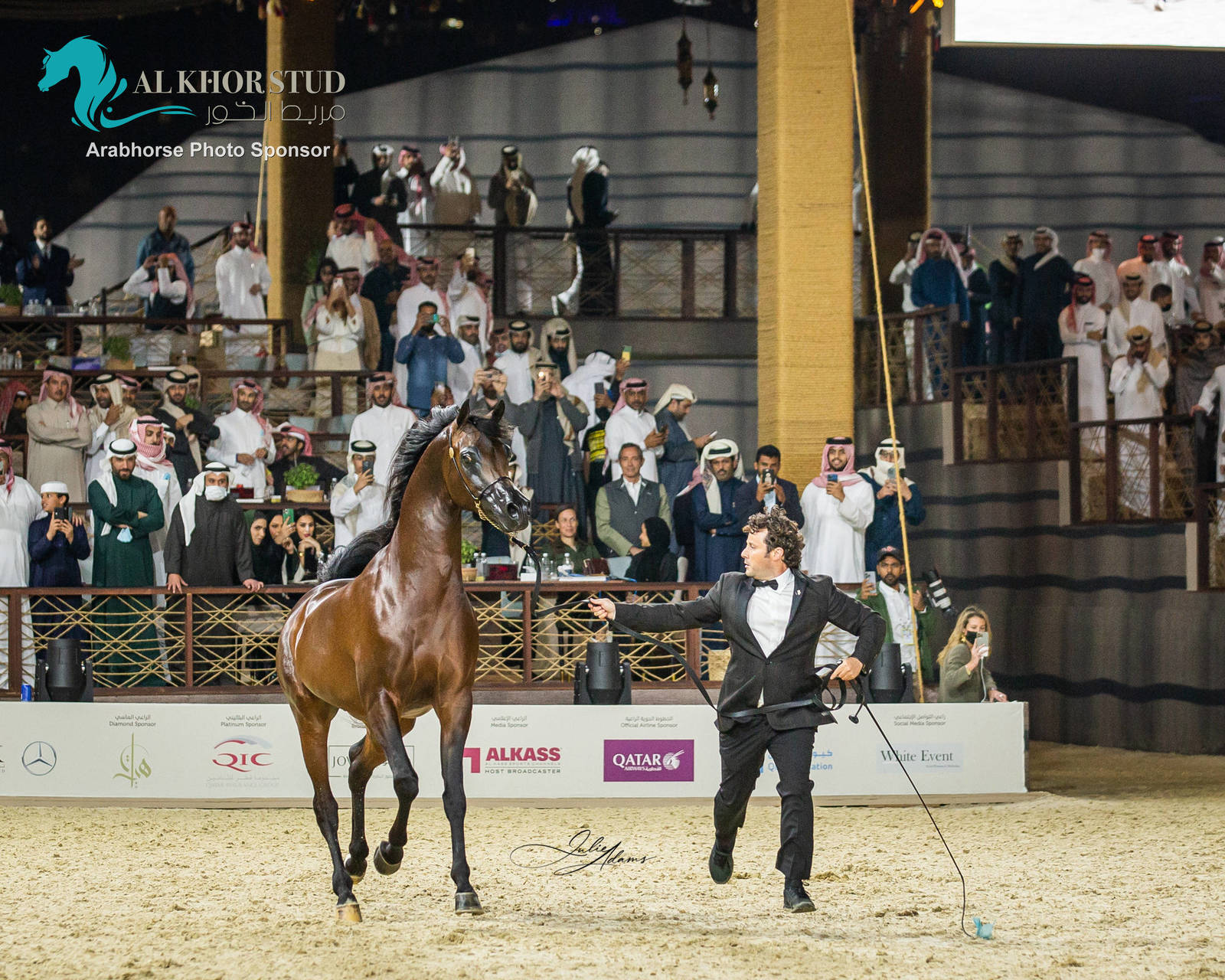 CHAMPIONSHIP DAY OF 2022 KATARA INTERNATIONAL ARABIAN HORSE FESTIVAL TITLE SHOW