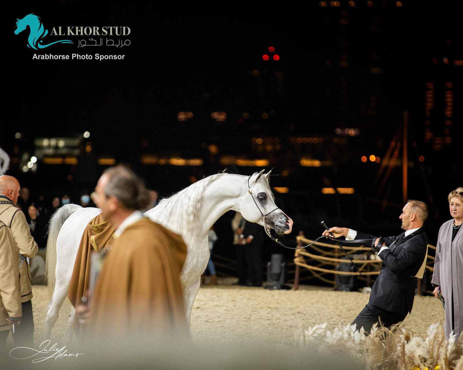 CHAMPIONSHIP DAY OF 2022 KATARA INTERNATIONAL ARABIAN HORSE FESTIVAL TITLE SHOW