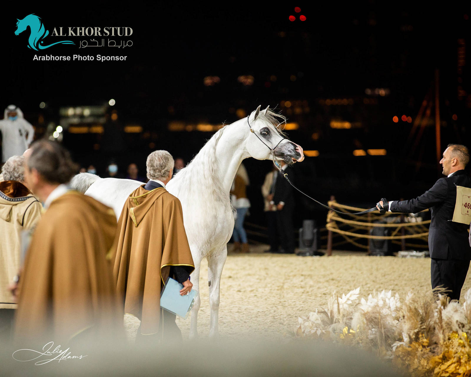 CHAMPIONSHIP DAY OF 2022 KATARA INTERNATIONAL ARABIAN HORSE FESTIVAL TITLE SHOW