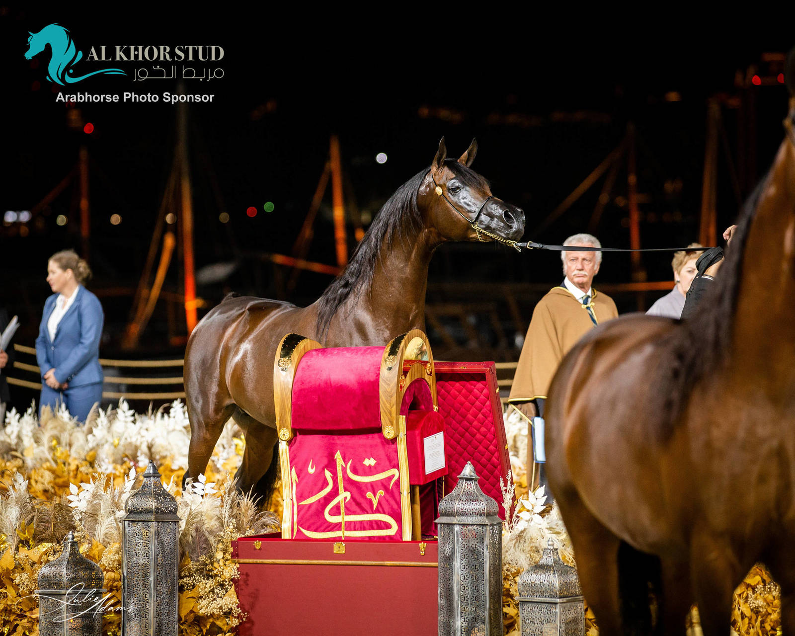 CHAMPIONSHIP DAY OF 2022 KATARA INTERNATIONAL ARABIAN HORSE FESTIVAL TITLE SHOW
