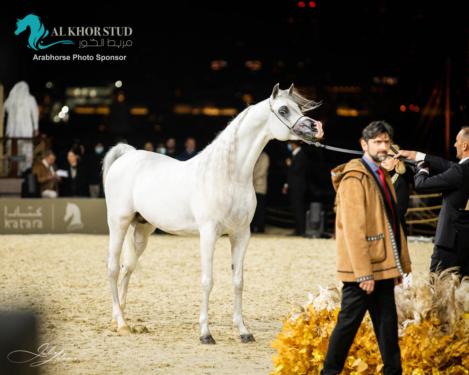 CHAMPIONSHIP DAY OF 2022 KATARA INTERNATIONAL ARABIAN HORSE FESTIVAL TITLE SHOW