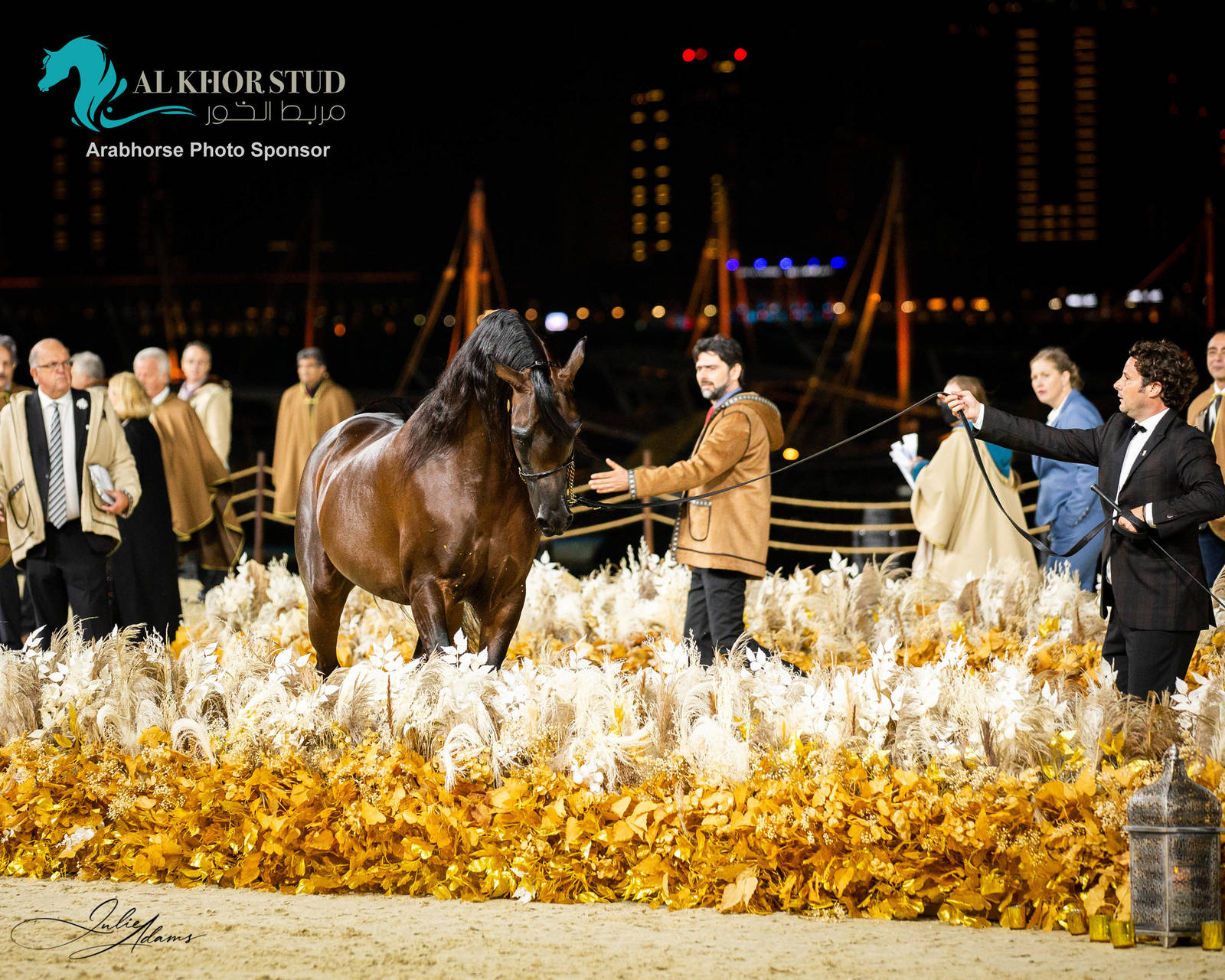 CHAMPIONSHIP DAY OF 2022 KATARA INTERNATIONAL ARABIAN HORSE FESTIVAL TITLE SHOW