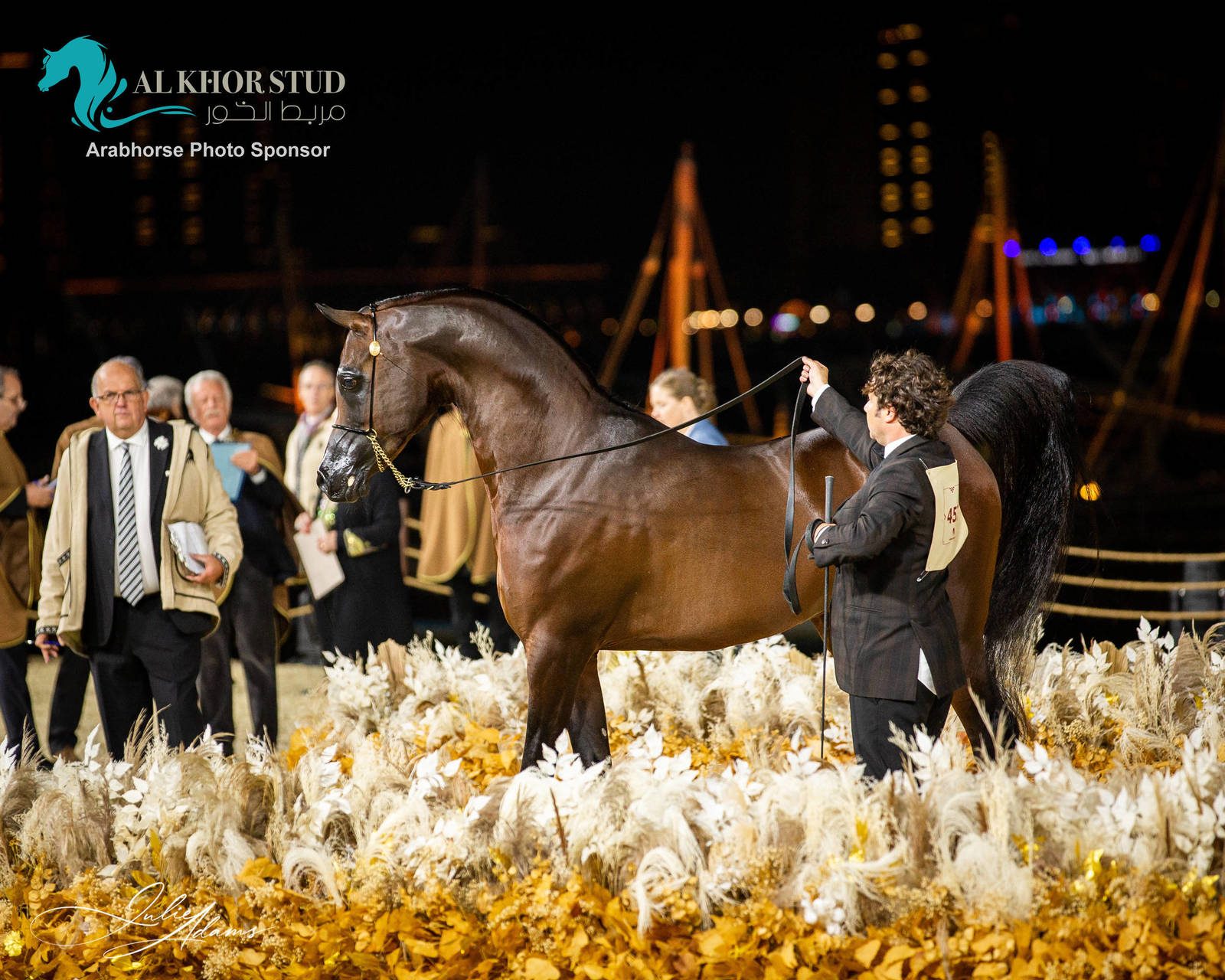 CHAMPIONSHIP DAY OF 2022 KATARA INTERNATIONAL ARABIAN HORSE FESTIVAL TITLE SHOW