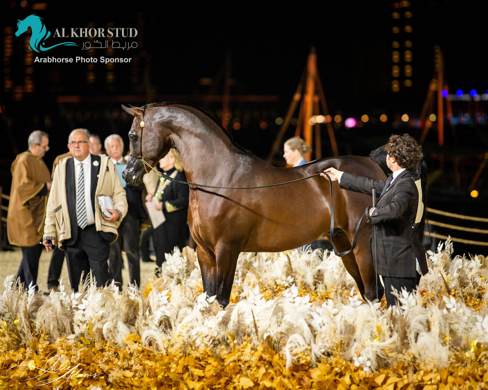 CHAMPIONSHIP DAY OF 2022 KATARA INTERNATIONAL ARABIAN HORSE FESTIVAL TITLE SHOW