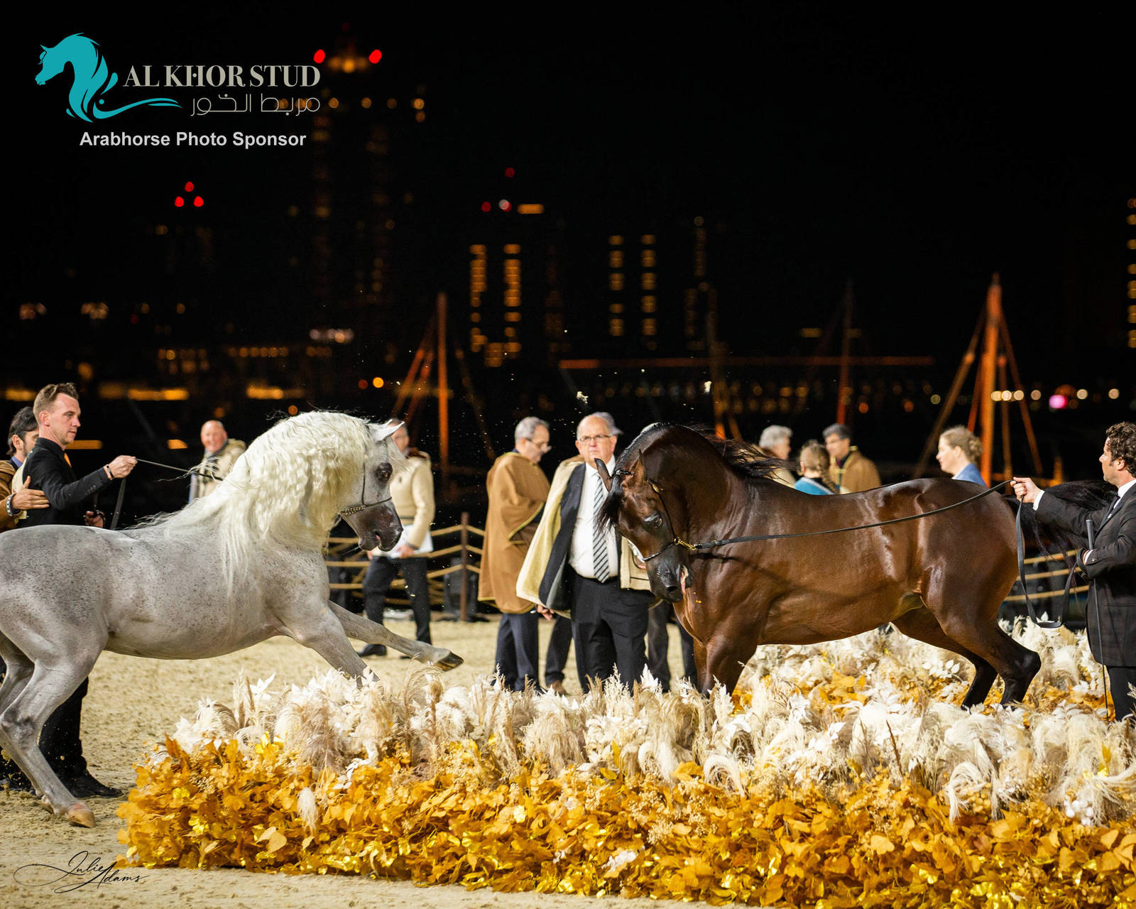 CHAMPIONSHIP DAY OF 2022 KATARA INTERNATIONAL ARABIAN HORSE FESTIVAL TITLE SHOW
