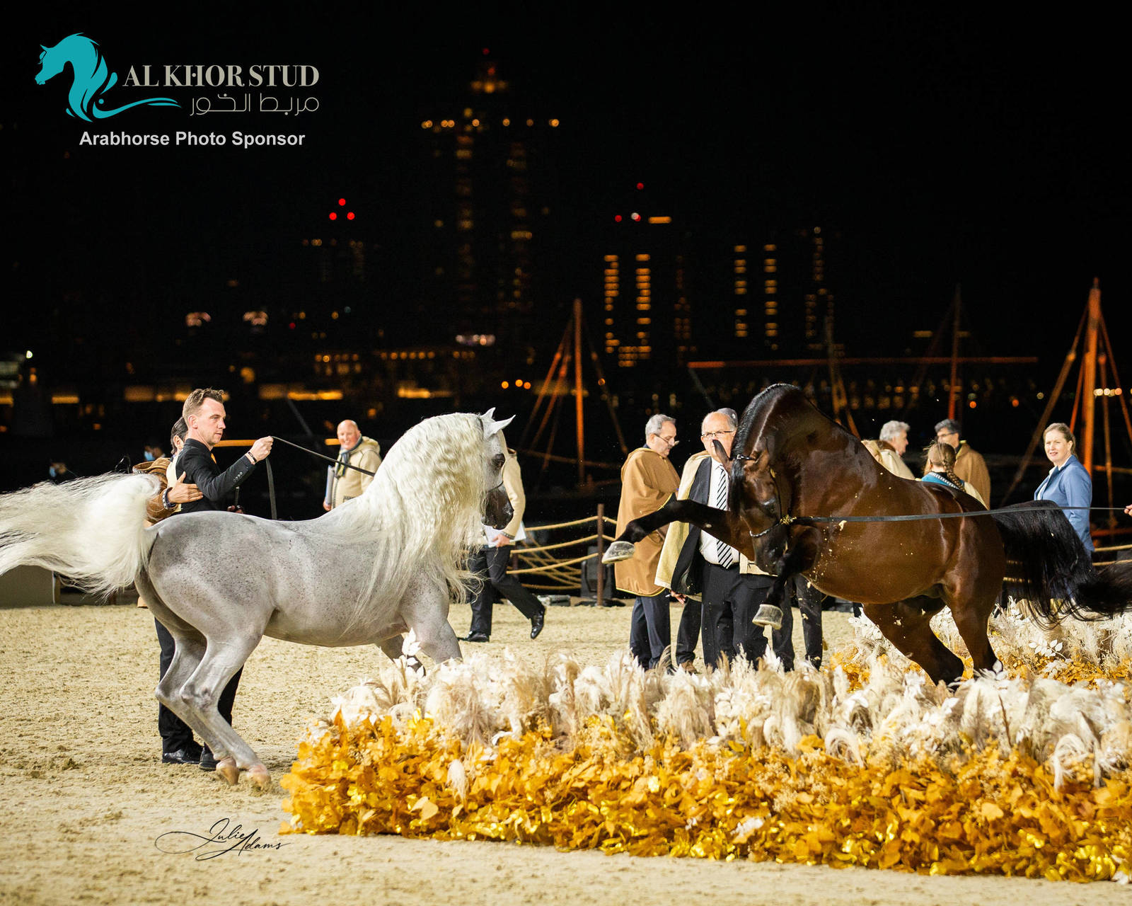 CHAMPIONSHIP DAY OF 2022 KATARA INTERNATIONAL ARABIAN HORSE FESTIVAL TITLE SHOW