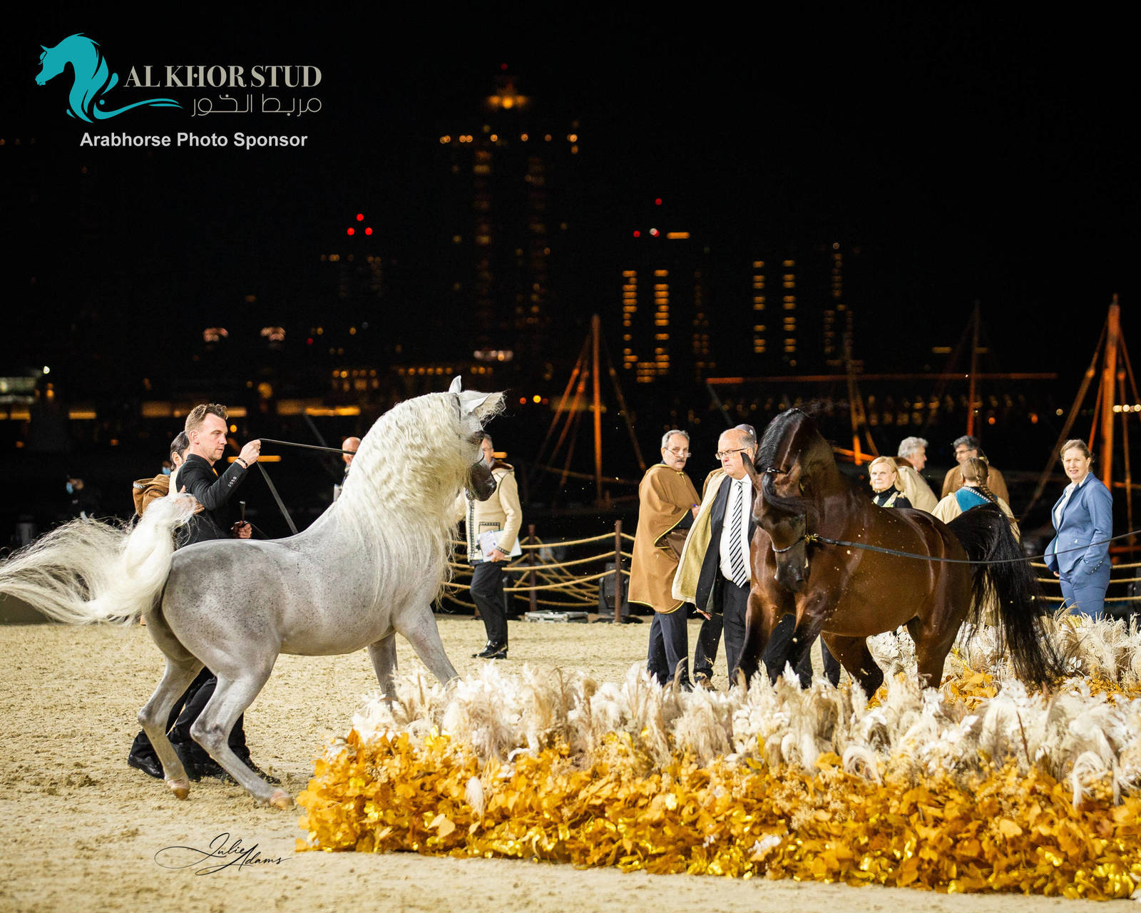 CHAMPIONSHIP DAY OF 2022 KATARA INTERNATIONAL ARABIAN HORSE FESTIVAL TITLE SHOW