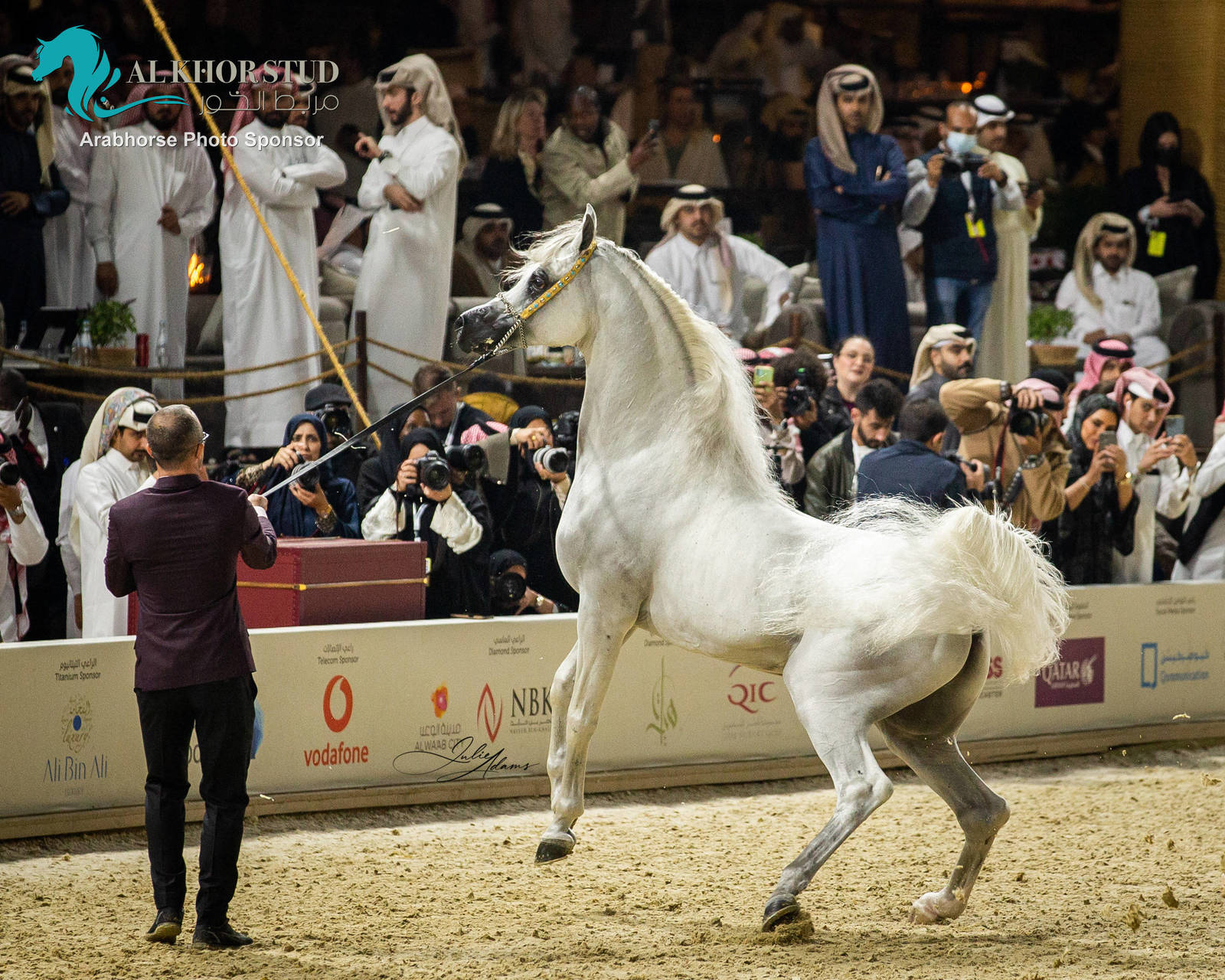 CHAMPIONSHIP DAY OF 2022 KATARA INTERNATIONAL ARABIAN HORSE FESTIVAL TITLE SHOW