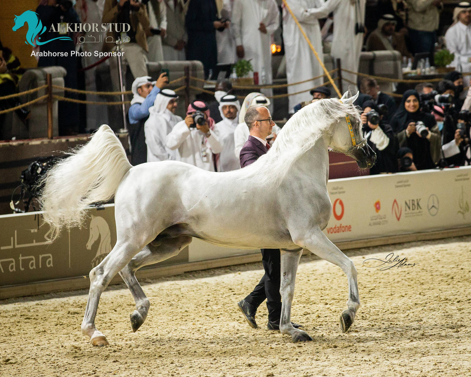 CHAMPIONSHIP DAY OF 2022 KATARA INTERNATIONAL ARABIAN HORSE FESTIVAL TITLE SHOW