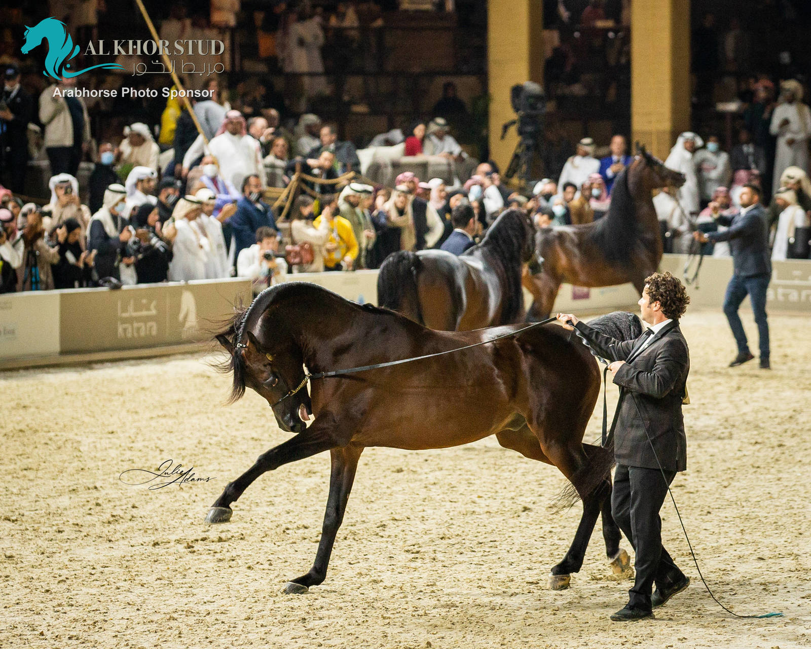 CHAMPIONSHIP DAY OF 2022 KATARA INTERNATIONAL ARABIAN HORSE FESTIVAL TITLE SHOW