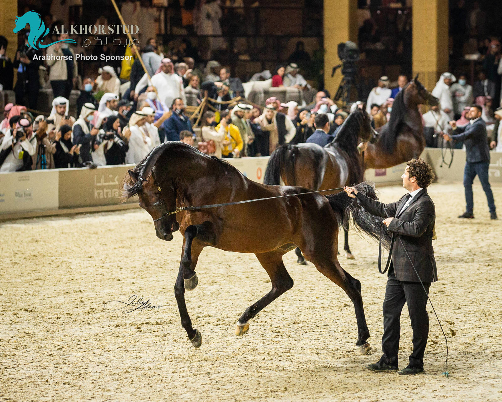 CHAMPIONSHIP DAY OF 2022 KATARA INTERNATIONAL ARABIAN HORSE FESTIVAL TITLE SHOW