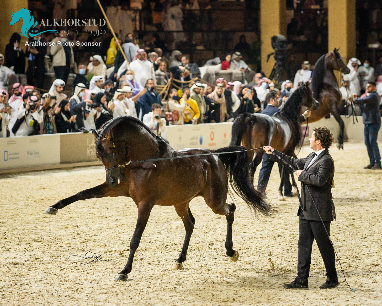 CHAMPIONSHIP DAY OF 2022 KATARA INTERNATIONAL ARABIAN HORSE FESTIVAL TITLE SHOW