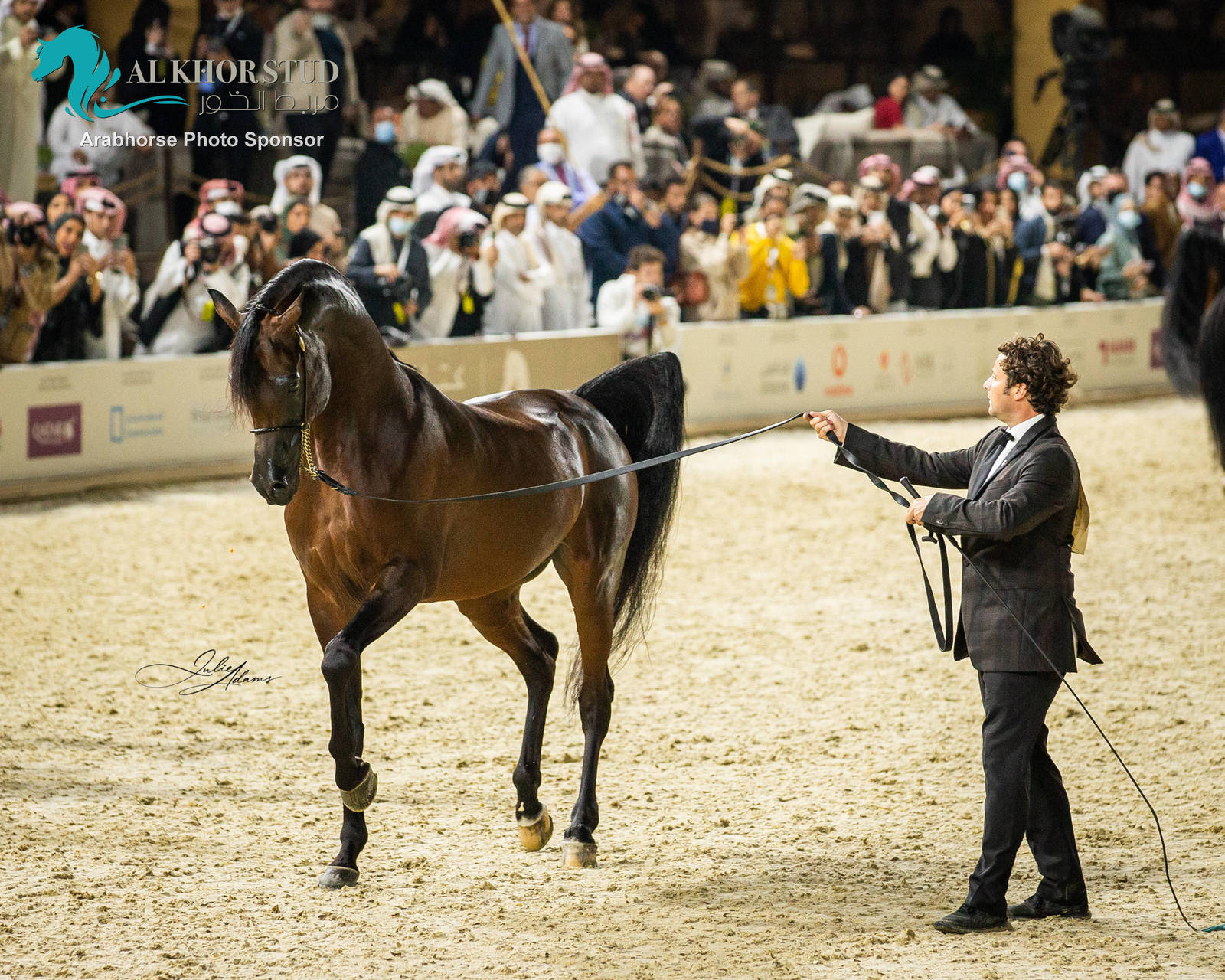 CHAMPIONSHIP DAY OF 2022 KATARA INTERNATIONAL ARABIAN HORSE FESTIVAL TITLE SHOW