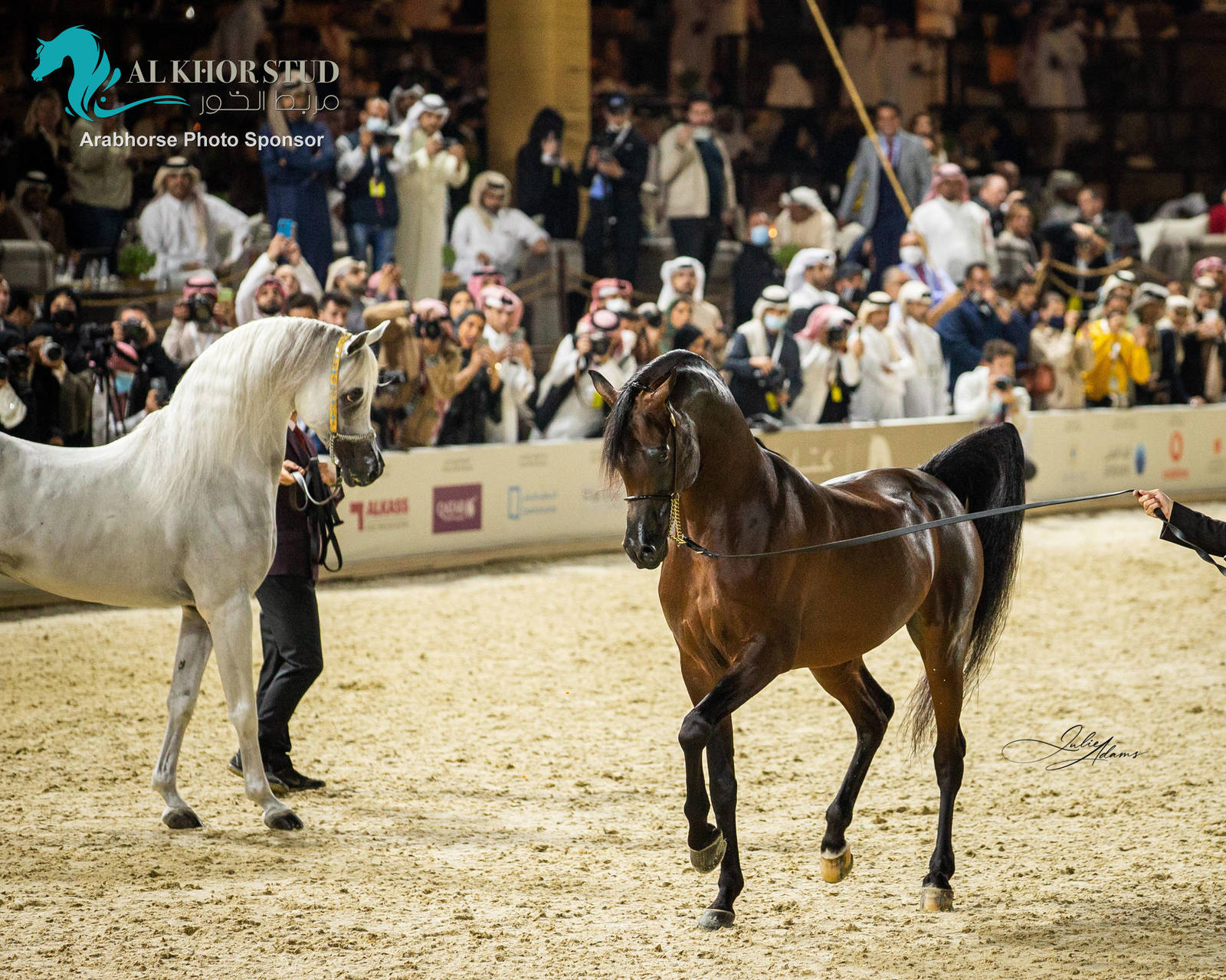 CHAMPIONSHIP DAY OF 2022 KATARA INTERNATIONAL ARABIAN HORSE FESTIVAL TITLE SHOW