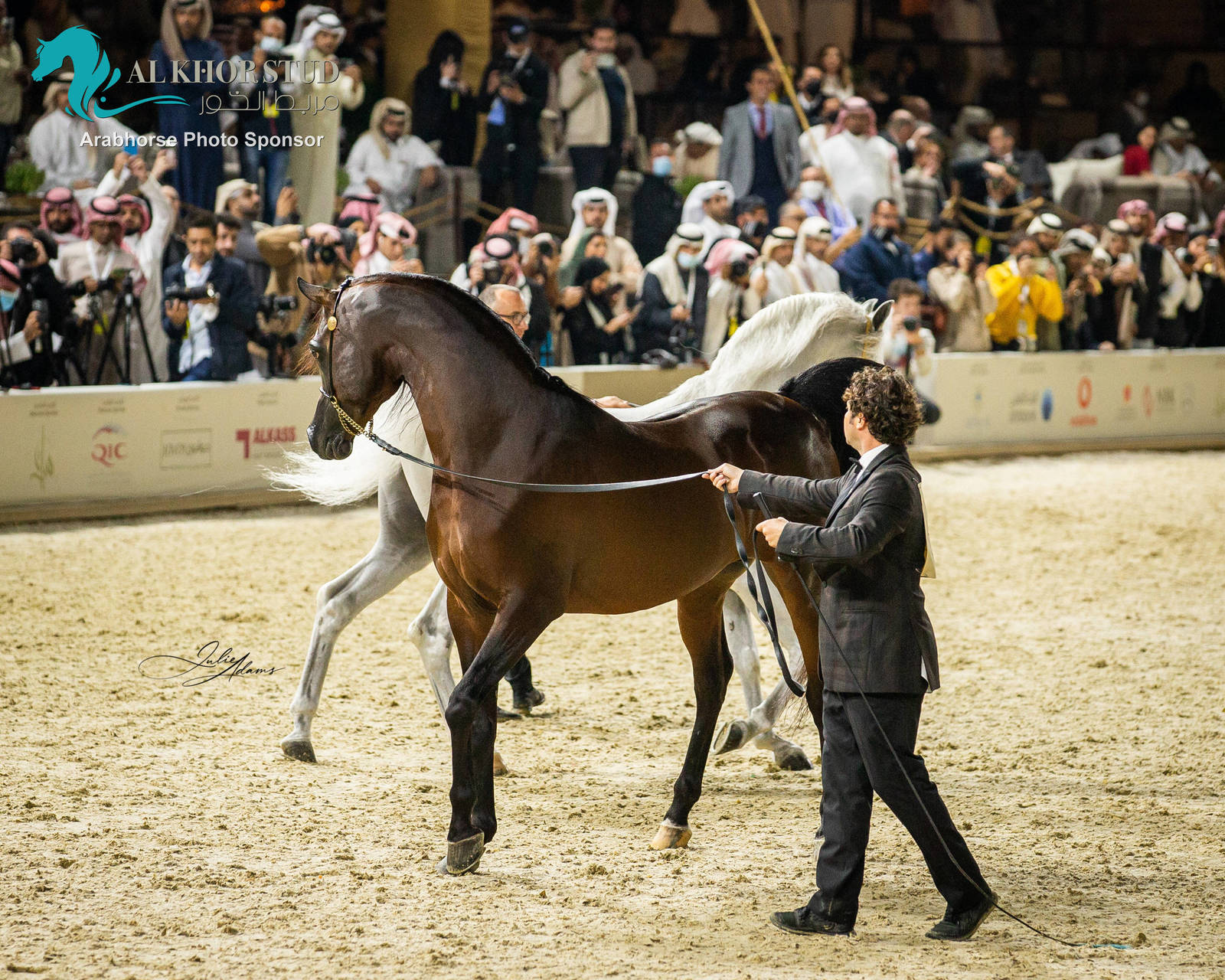 CHAMPIONSHIP DAY OF 2022 KATARA INTERNATIONAL ARABIAN HORSE FESTIVAL TITLE SHOW