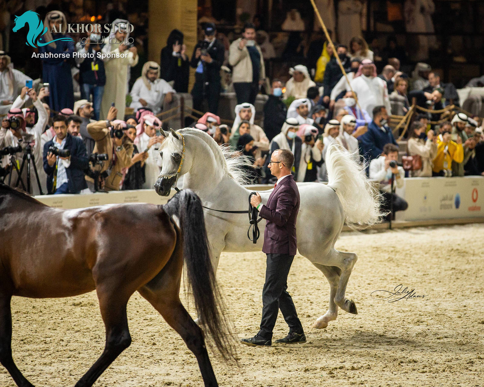 CHAMPIONSHIP DAY OF 2022 KATARA INTERNATIONAL ARABIAN HORSE FESTIVAL TITLE SHOW