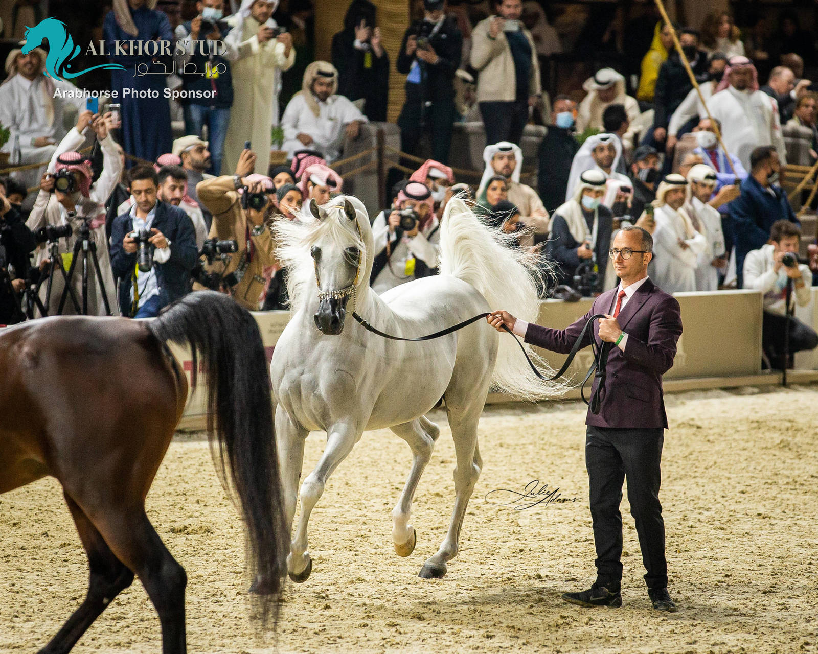 CHAMPIONSHIP DAY OF 2022 KATARA INTERNATIONAL ARABIAN HORSE FESTIVAL TITLE SHOW