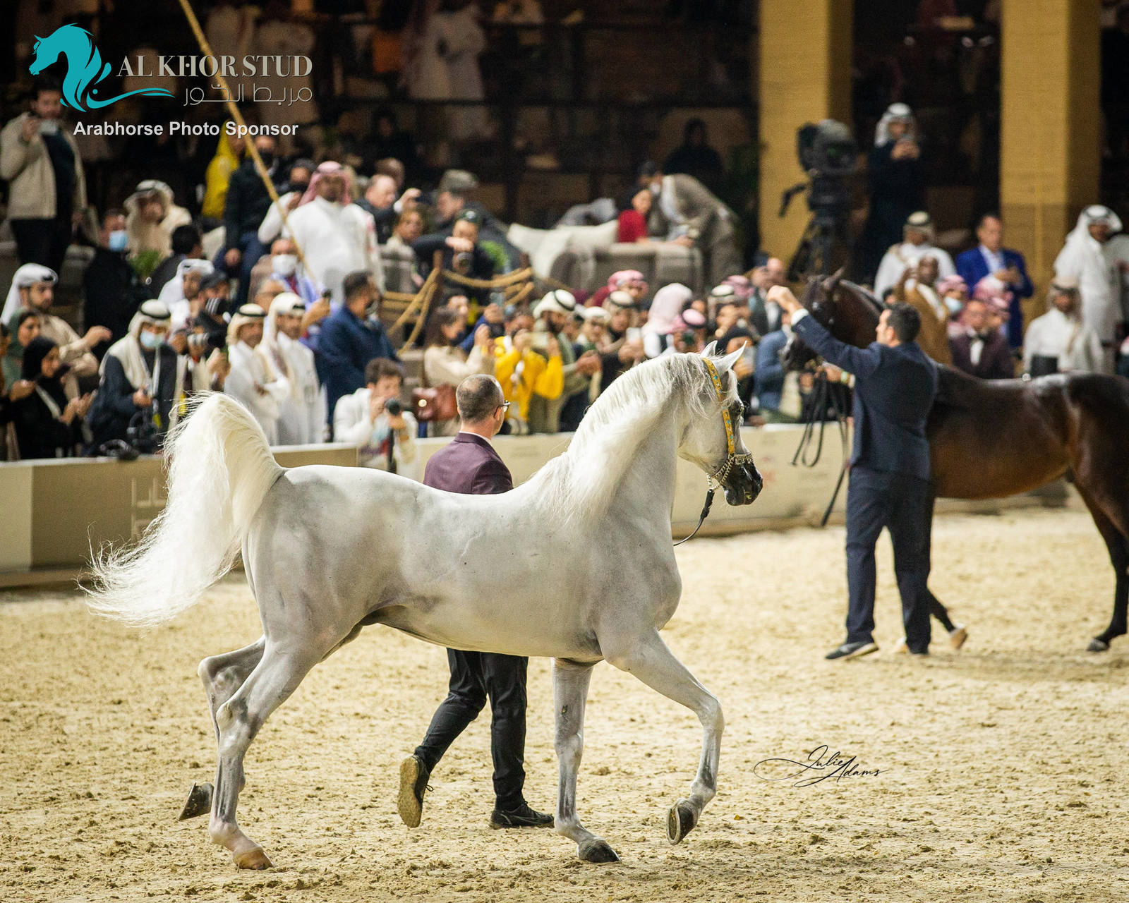 CHAMPIONSHIP DAY OF 2022 KATARA INTERNATIONAL ARABIAN HORSE FESTIVAL TITLE SHOW