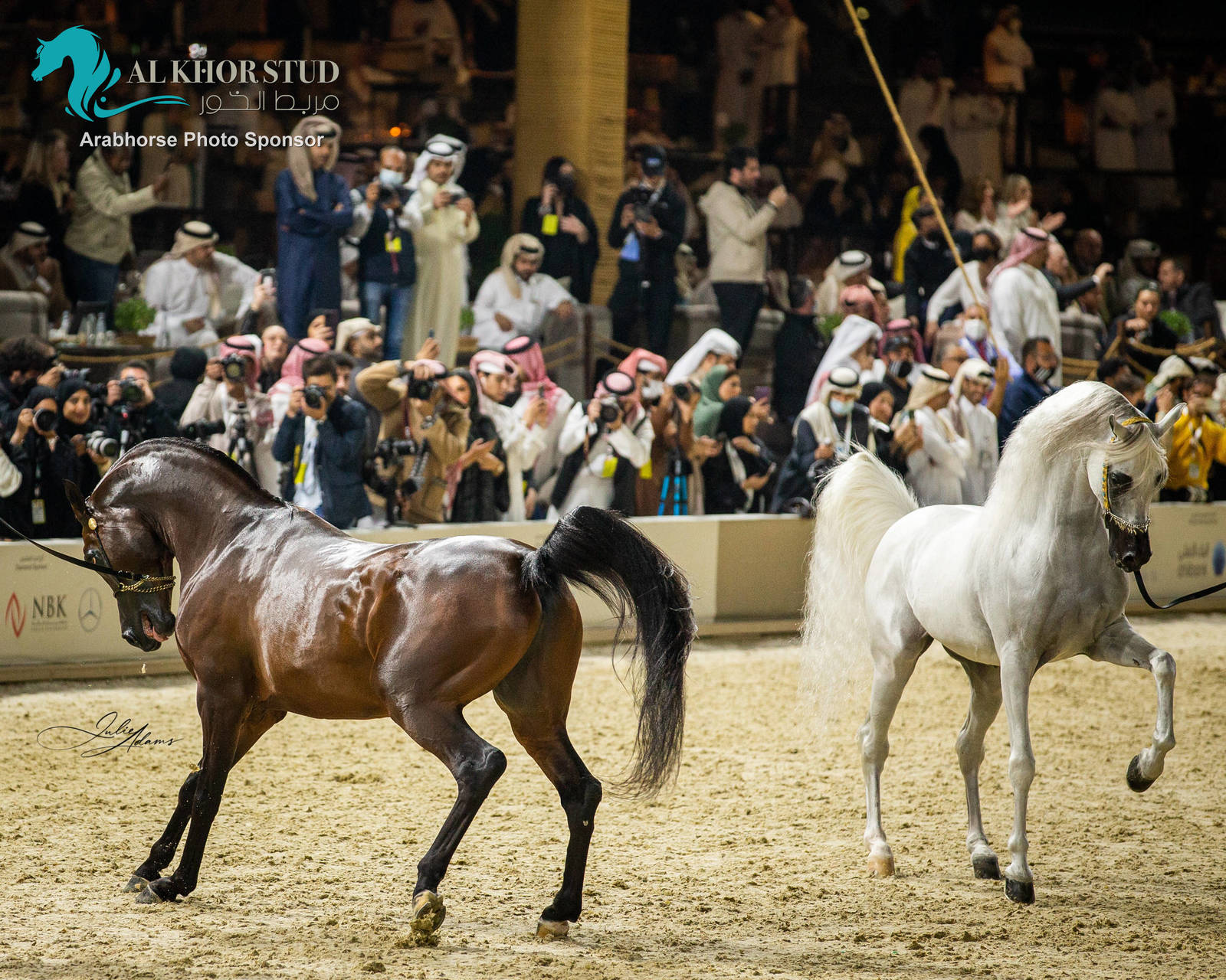 CHAMPIONSHIP DAY OF 2022 KATARA INTERNATIONAL ARABIAN HORSE FESTIVAL TITLE SHOW