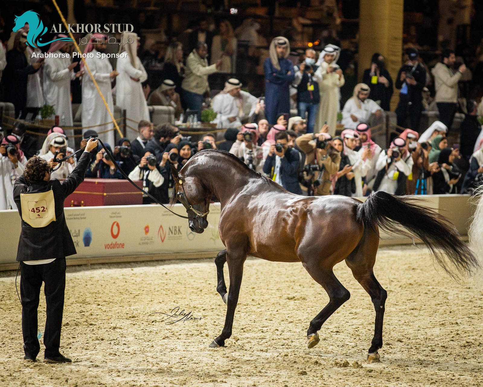 CHAMPIONSHIP DAY OF 2022 KATARA INTERNATIONAL ARABIAN HORSE FESTIVAL TITLE SHOW
