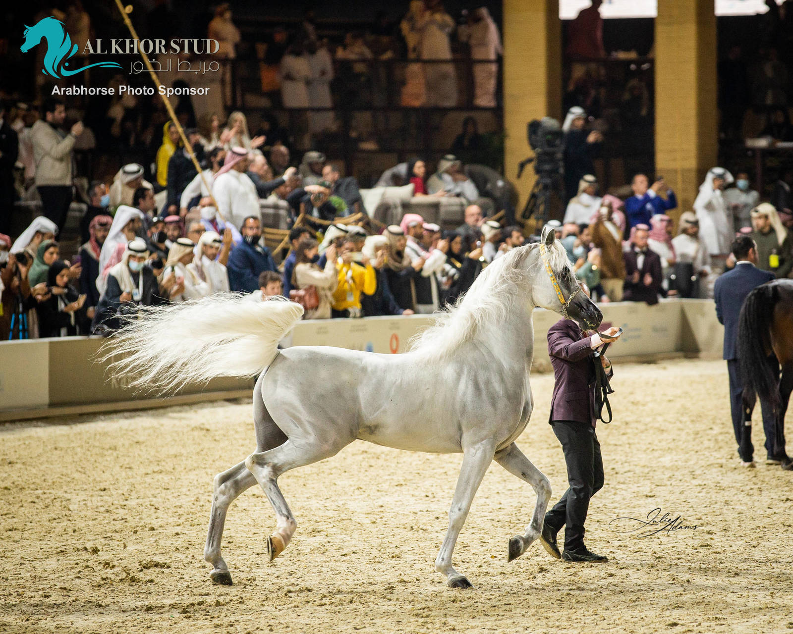 CHAMPIONSHIP DAY OF 2022 KATARA INTERNATIONAL ARABIAN HORSE FESTIVAL TITLE SHOW