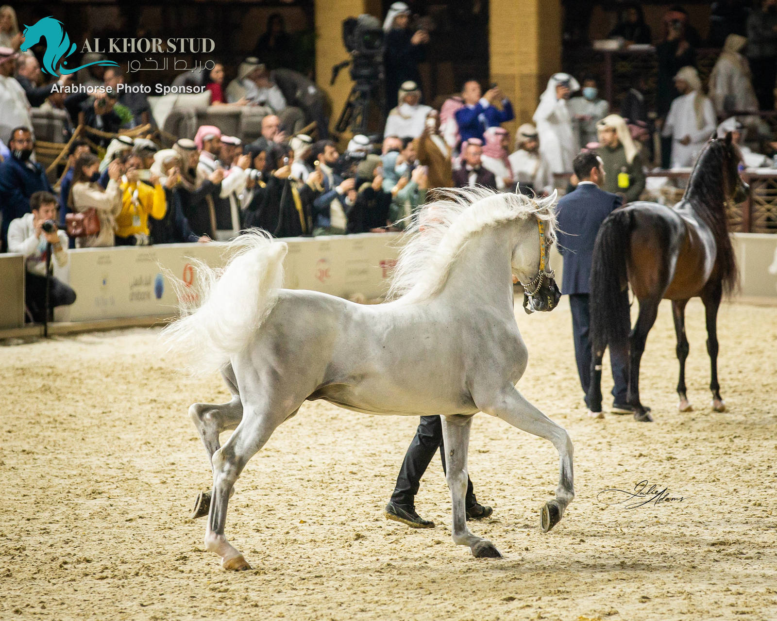 CHAMPIONSHIP DAY OF 2022 KATARA INTERNATIONAL ARABIAN HORSE FESTIVAL TITLE SHOW