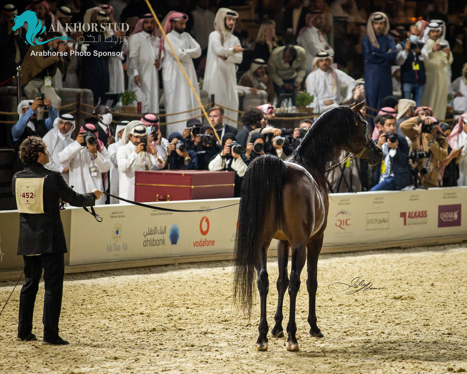 CHAMPIONSHIP DAY OF 2022 KATARA INTERNATIONAL ARABIAN HORSE FESTIVAL TITLE SHOW
