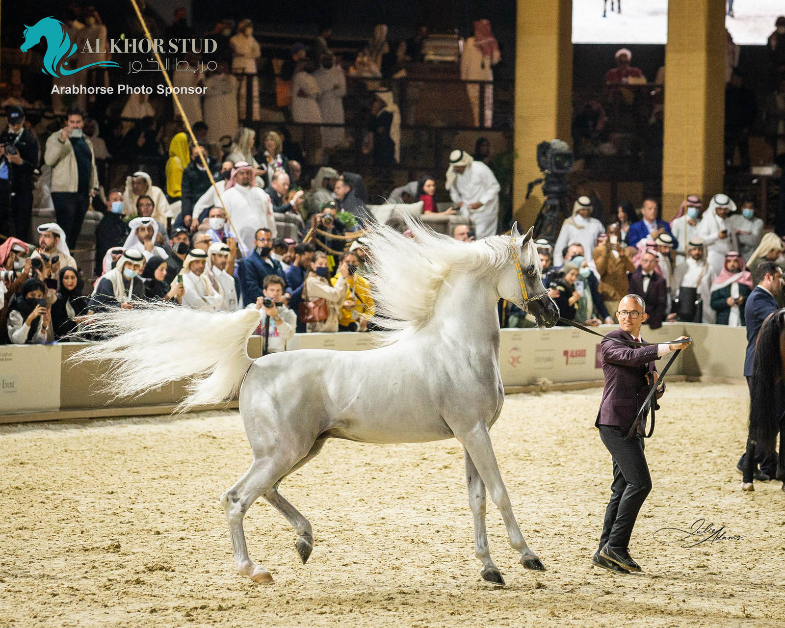 CHAMPIONSHIP DAY OF 2022 KATARA INTERNATIONAL ARABIAN HORSE FESTIVAL TITLE SHOW