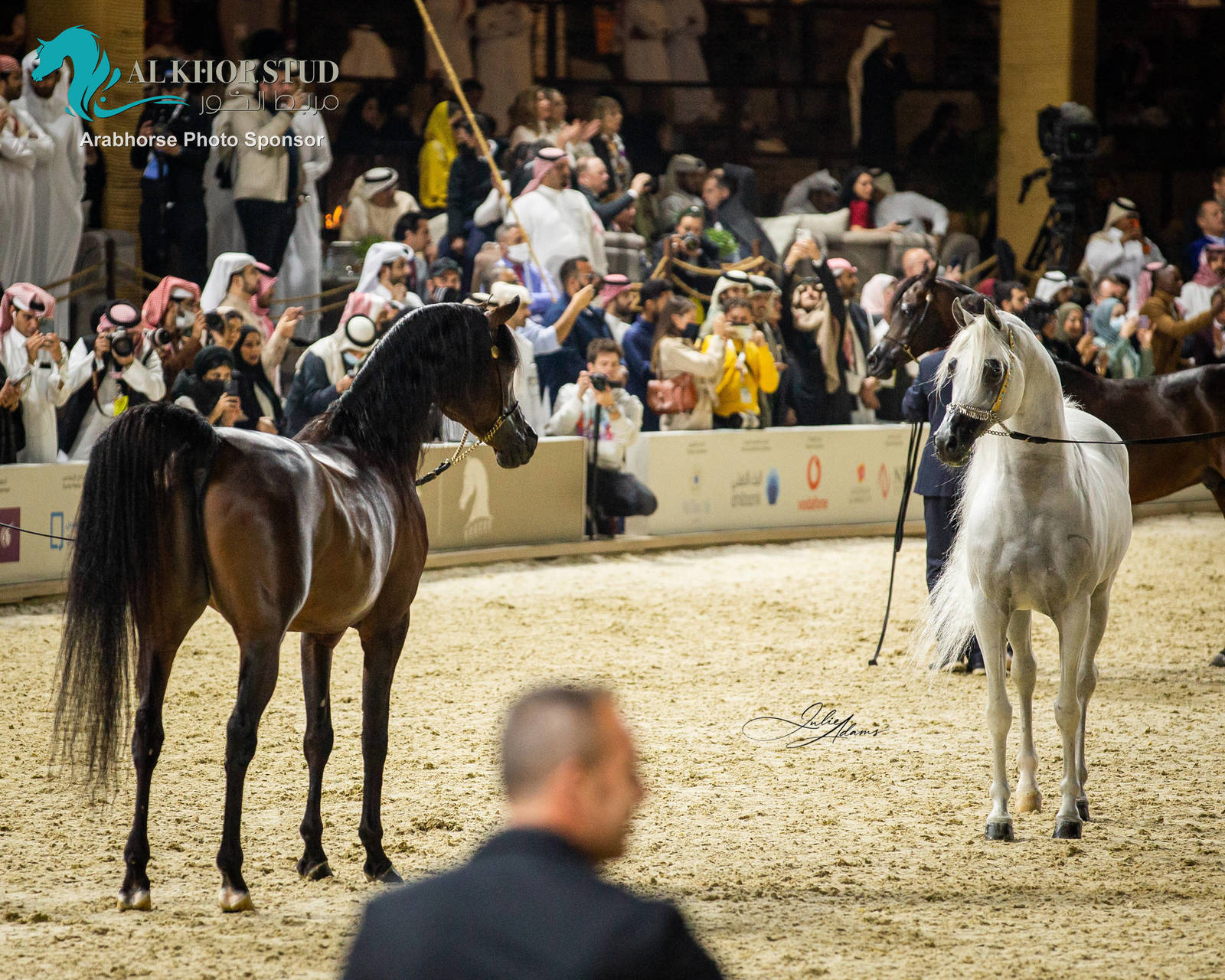 CHAMPIONSHIP DAY OF 2022 KATARA INTERNATIONAL ARABIAN HORSE FESTIVAL TITLE SHOW