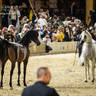 CHAMPIONSHIP DAY OF 2022 KATARA INTERNATIONAL ARABIAN HORSE FESTIVAL TITLE SHOW