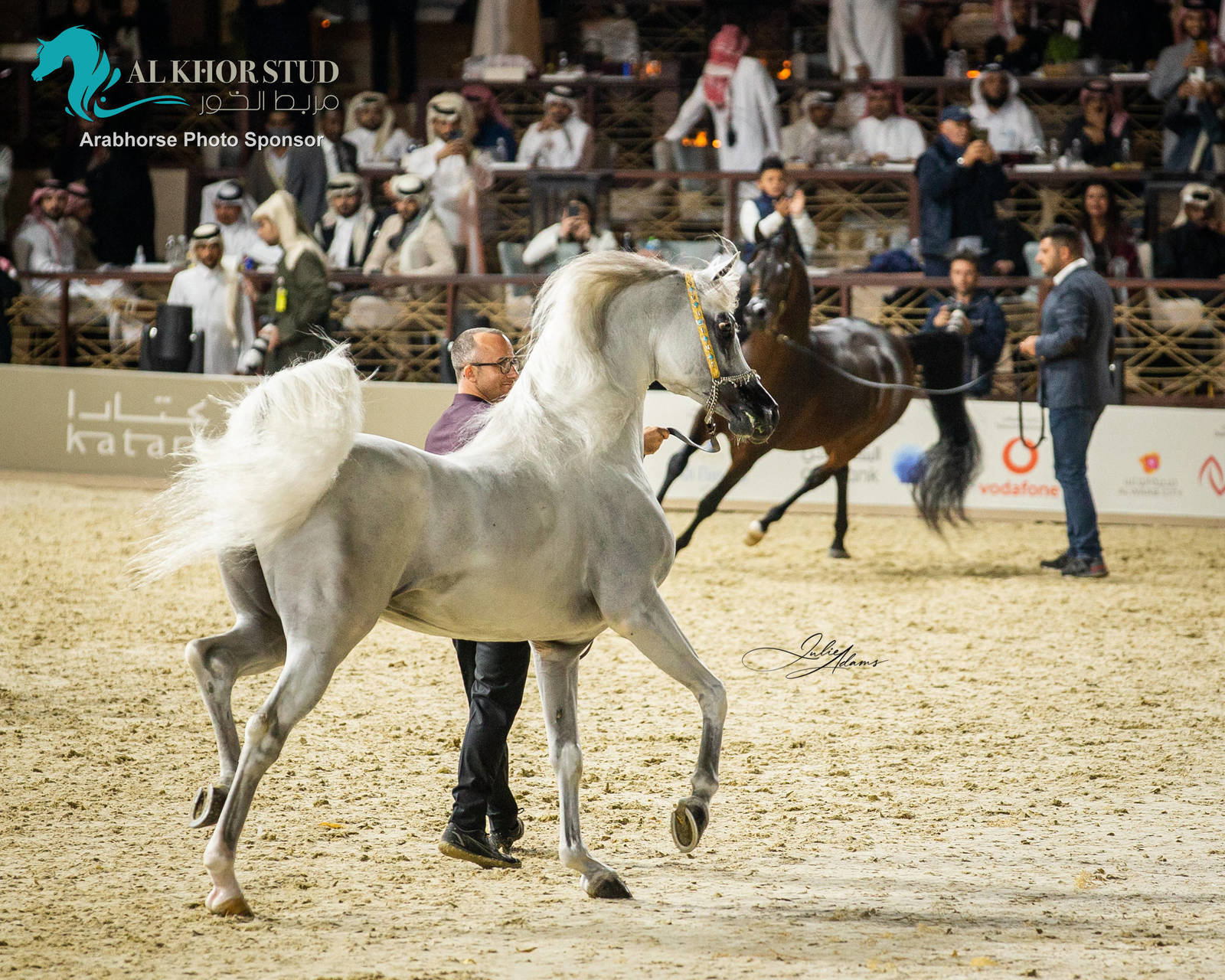CHAMPIONSHIP DAY OF 2022 KATARA INTERNATIONAL ARABIAN HORSE FESTIVAL TITLE SHOW
