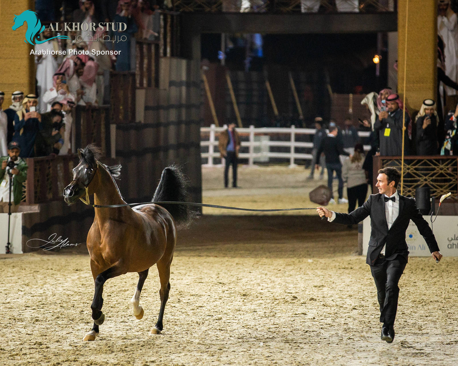 CHAMPIONSHIP DAY OF 2022 KATARA INTERNATIONAL ARABIAN HORSE FESTIVAL TITLE SHOW