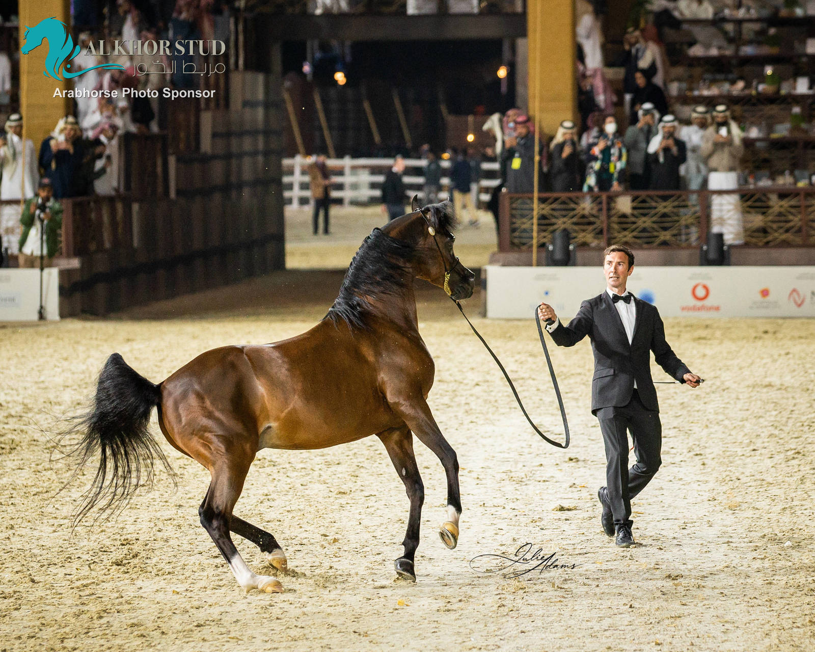 CHAMPIONSHIP DAY OF 2022 KATARA INTERNATIONAL ARABIAN HORSE FESTIVAL TITLE SHOW