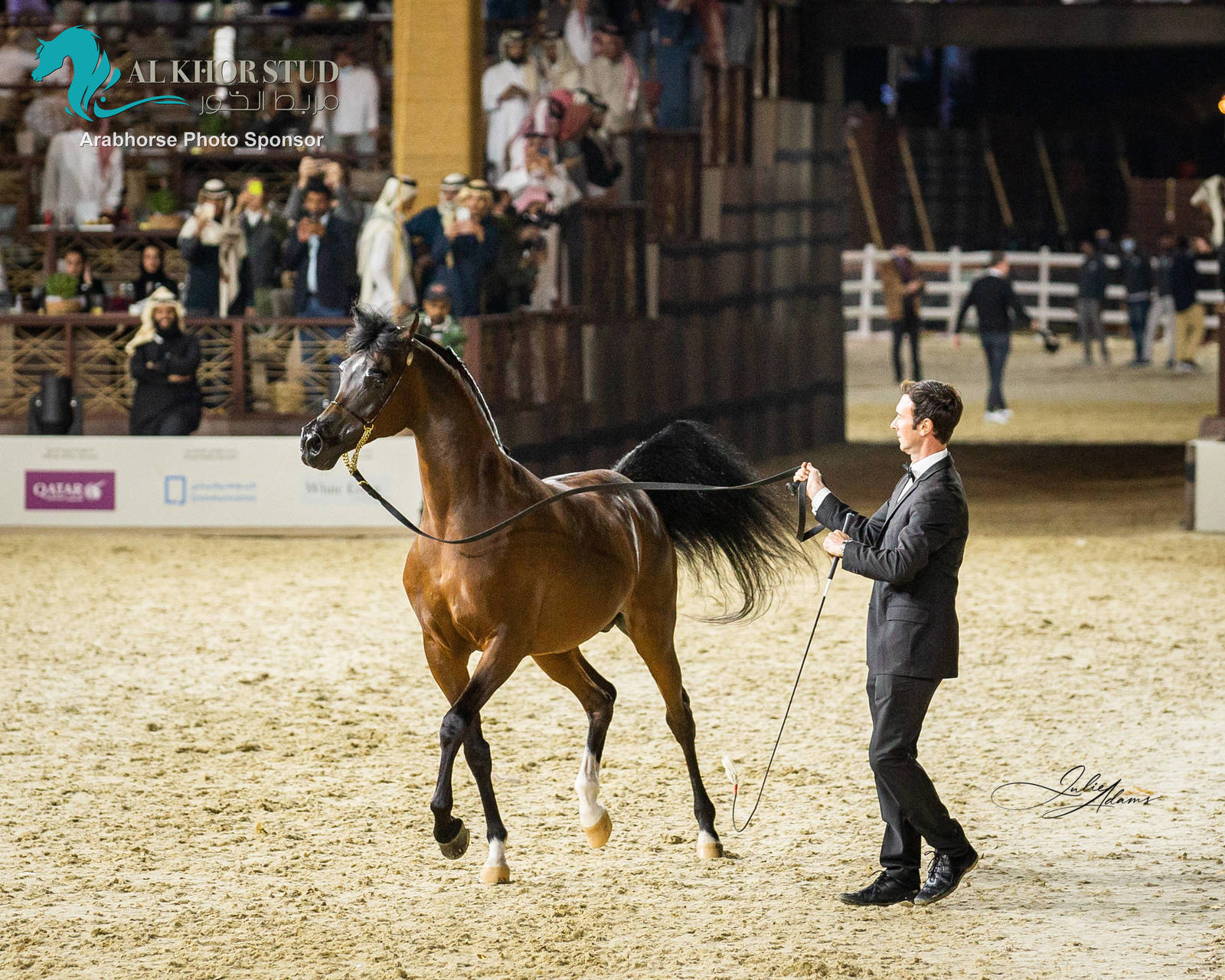 CHAMPIONSHIP DAY OF 2022 KATARA INTERNATIONAL ARABIAN HORSE FESTIVAL TITLE SHOW