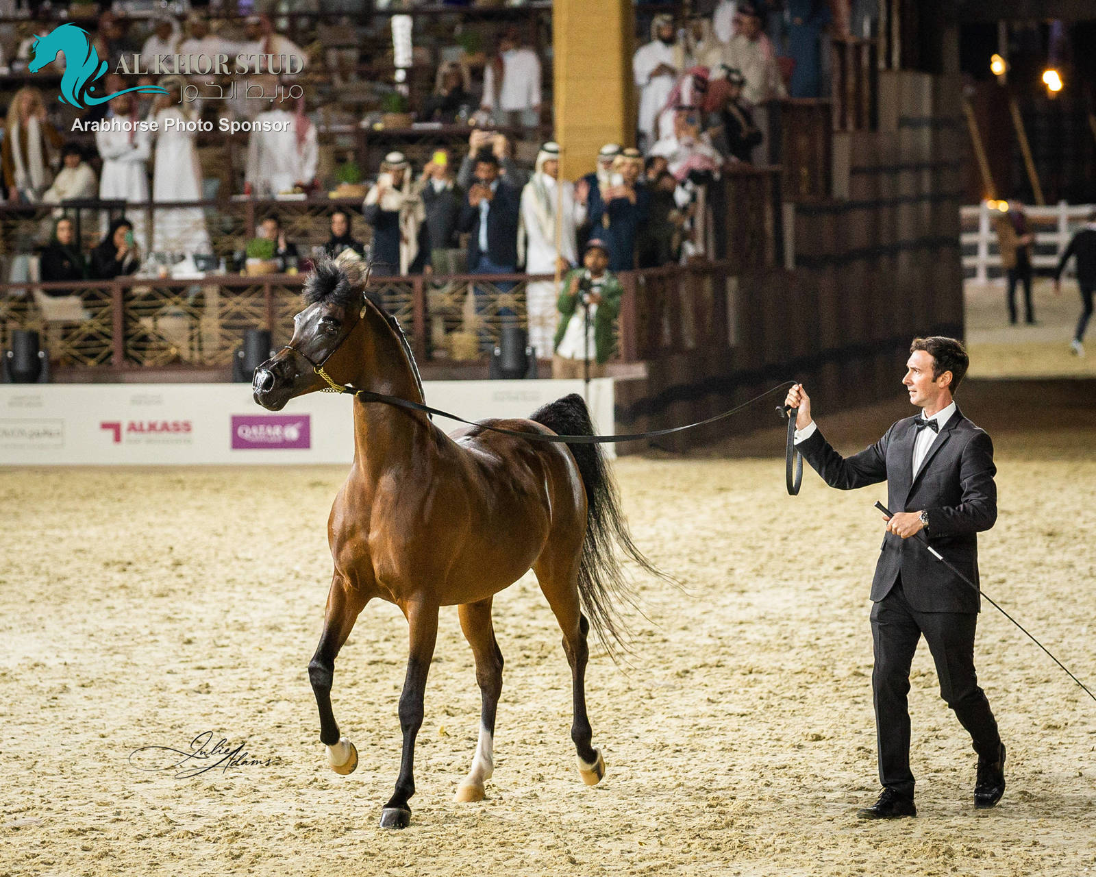 CHAMPIONSHIP DAY OF 2022 KATARA INTERNATIONAL ARABIAN HORSE FESTIVAL TITLE SHOW