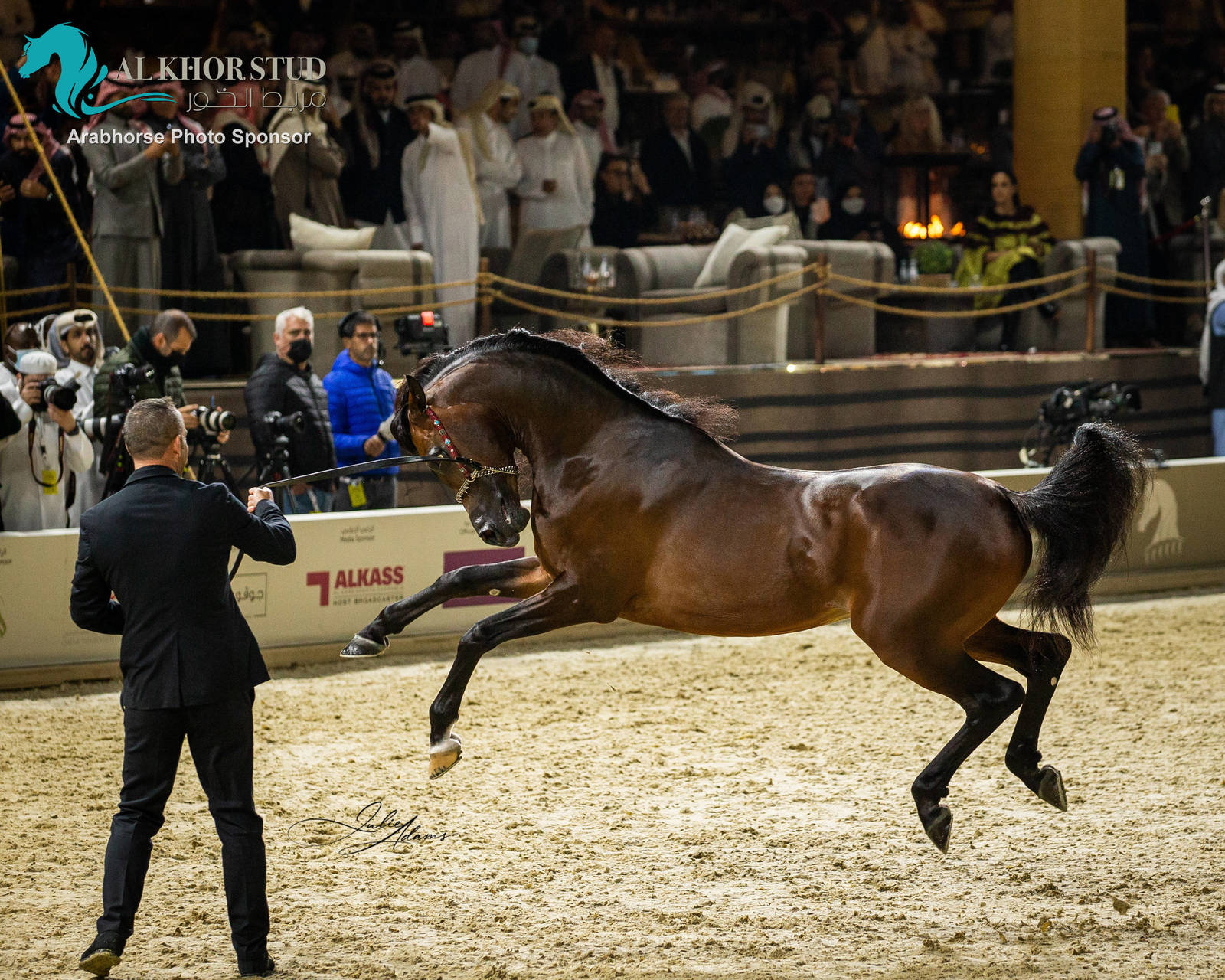 CHAMPIONSHIP DAY OF 2022 KATARA INTERNATIONAL ARABIAN HORSE FESTIVAL TITLE SHOW